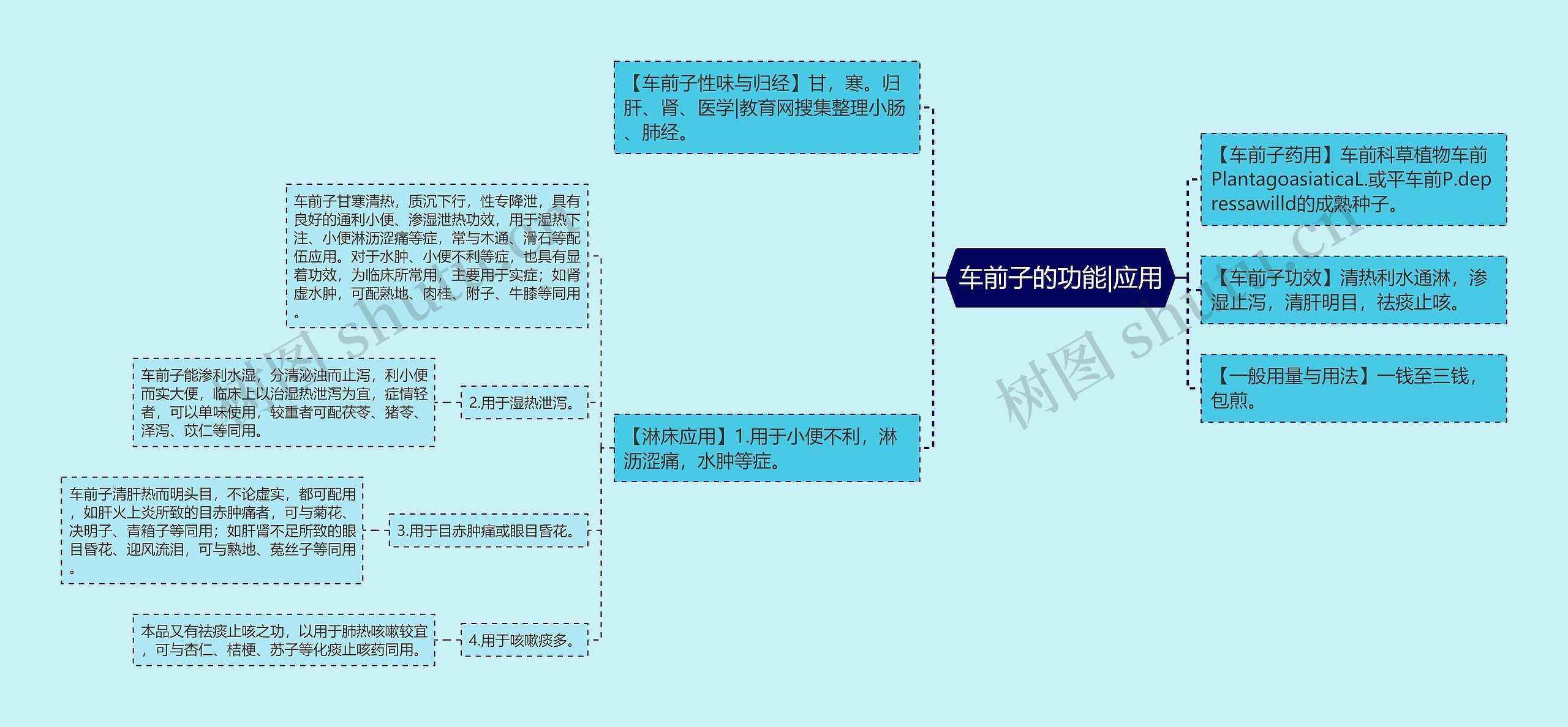 车前子的功能|应用思维导图