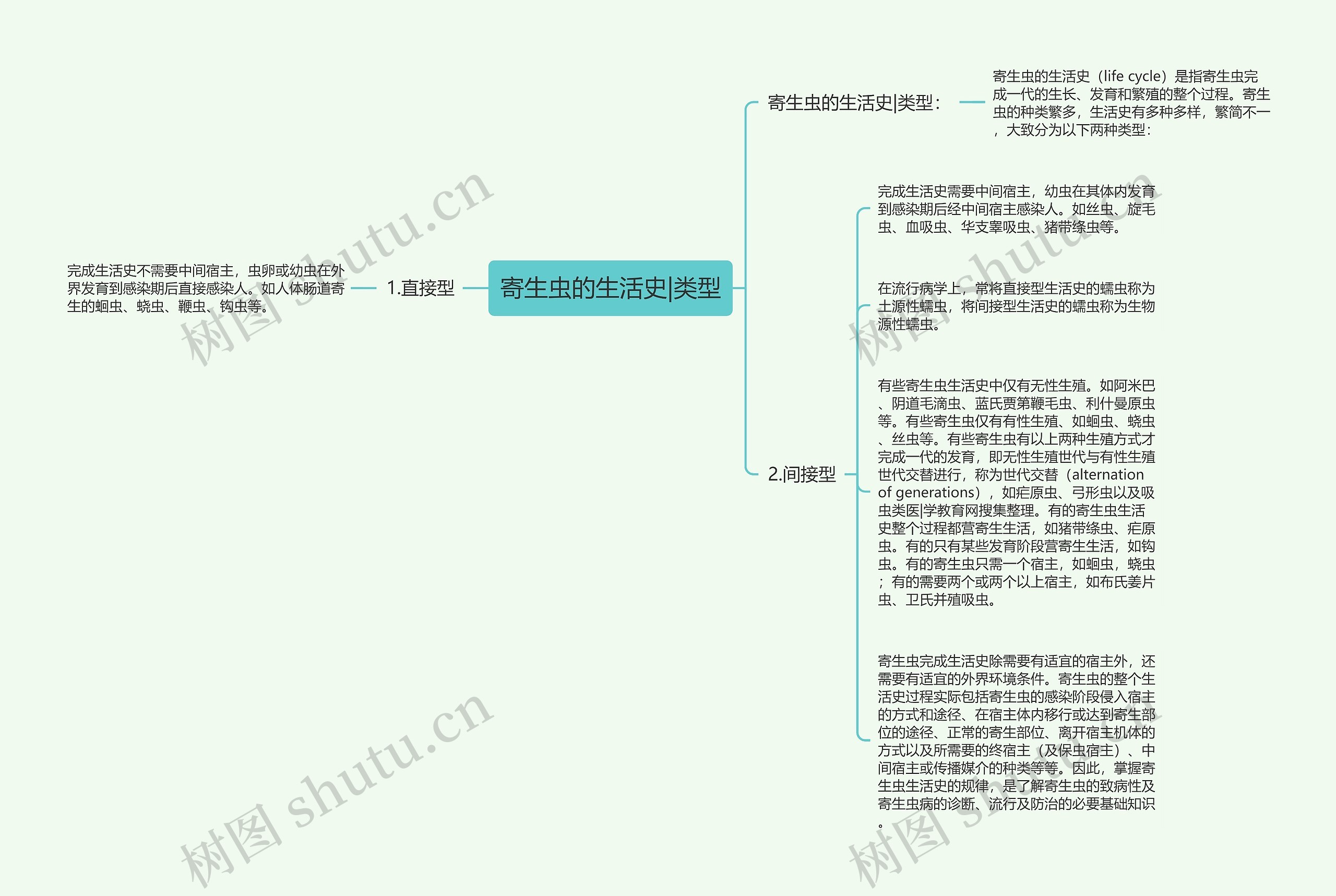 寄生虫的生活史|类型思维导图