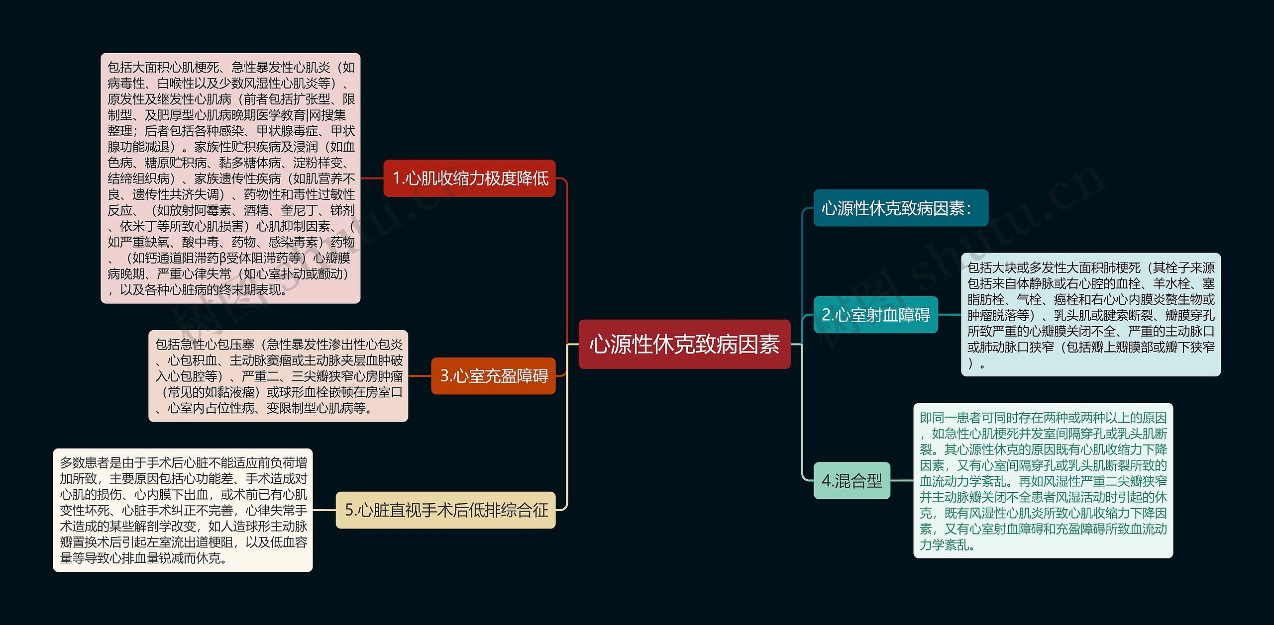 心源性休克致病因素