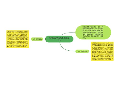 咀嚼运动的过程和类型是什么