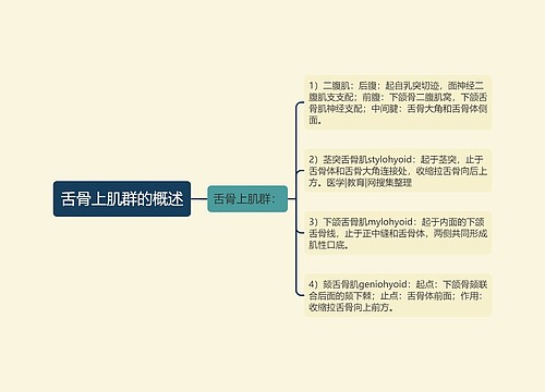 舌骨上肌群的概述