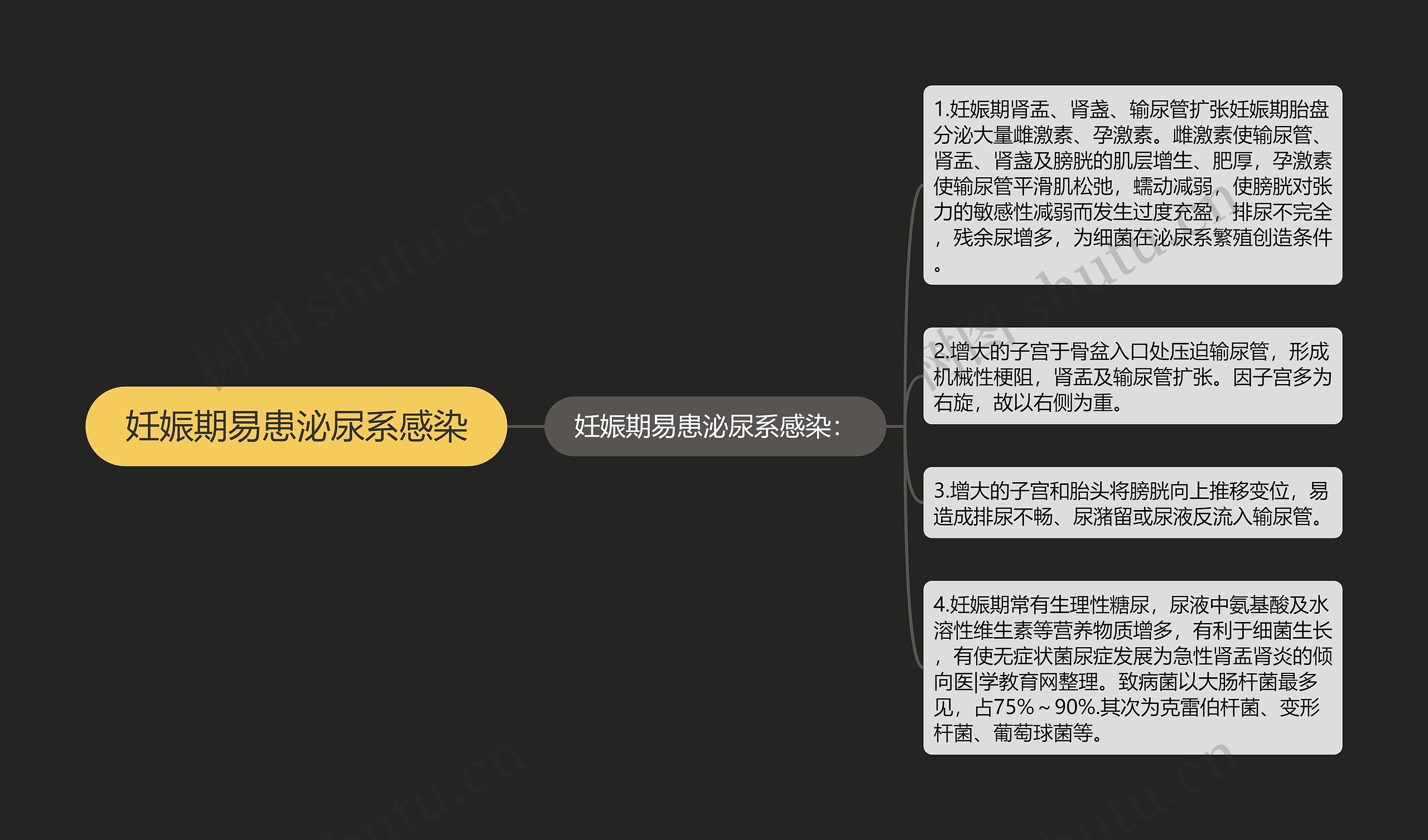 妊娠期易患泌尿系感染思维导图