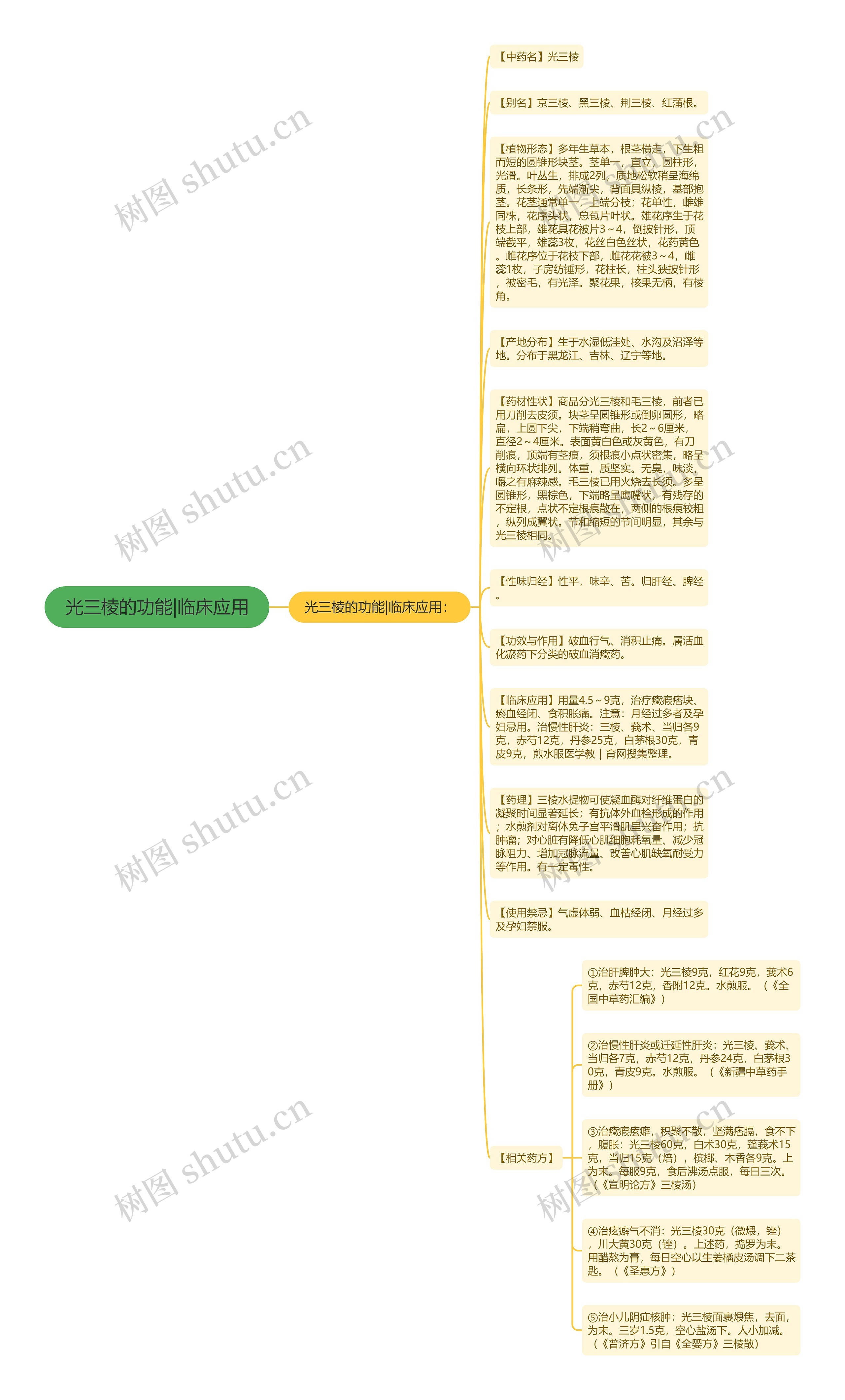 光三棱的功能|临床应用思维导图