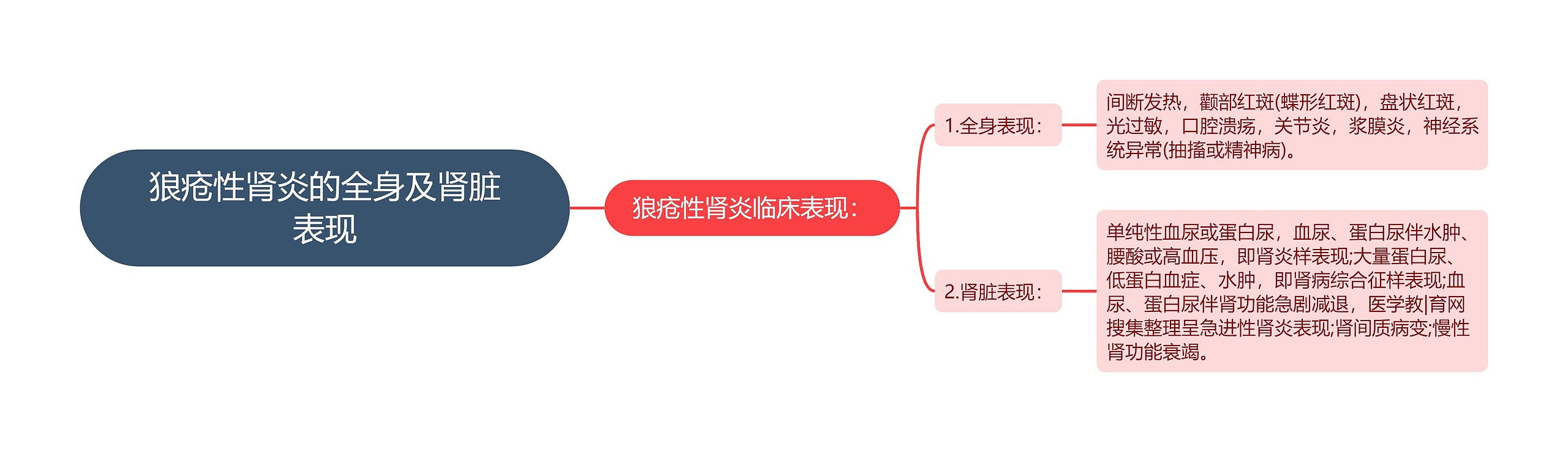 狼疮性肾炎的全身及肾脏表现