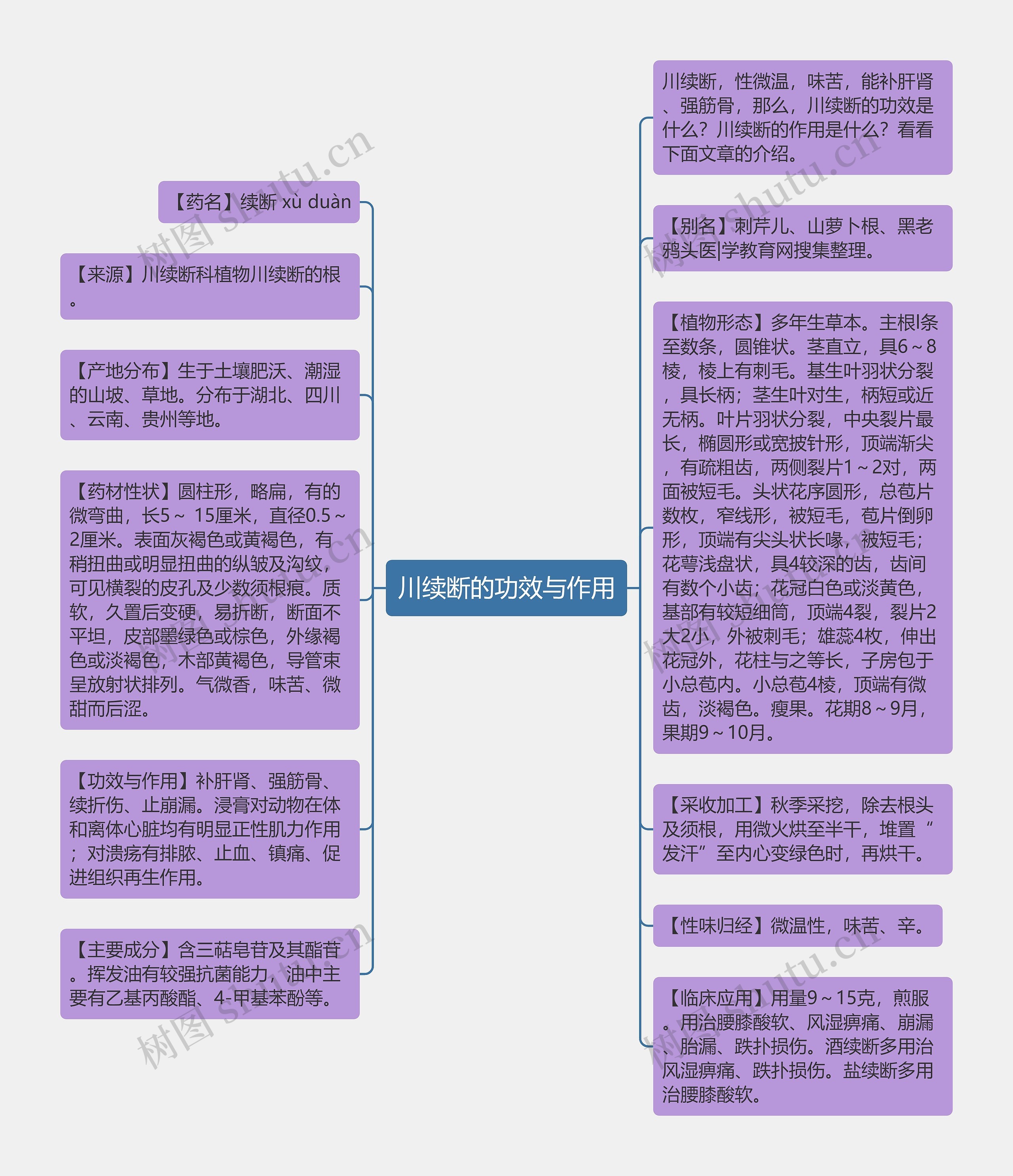 川续断的功效与作用思维导图