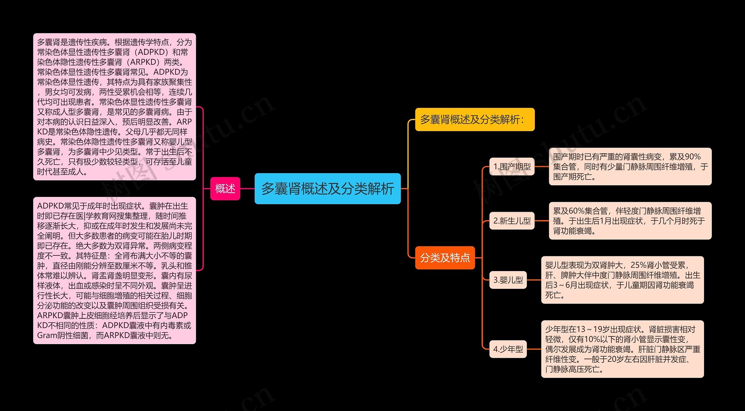 多囊肾概述及分类解析