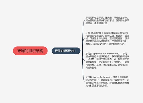 牙周的组织结构