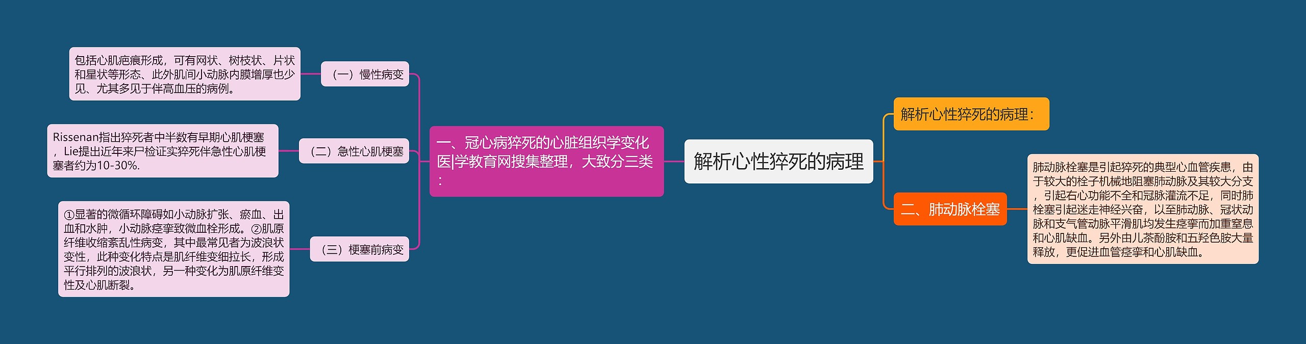 解析心性猝死的病理思维导图