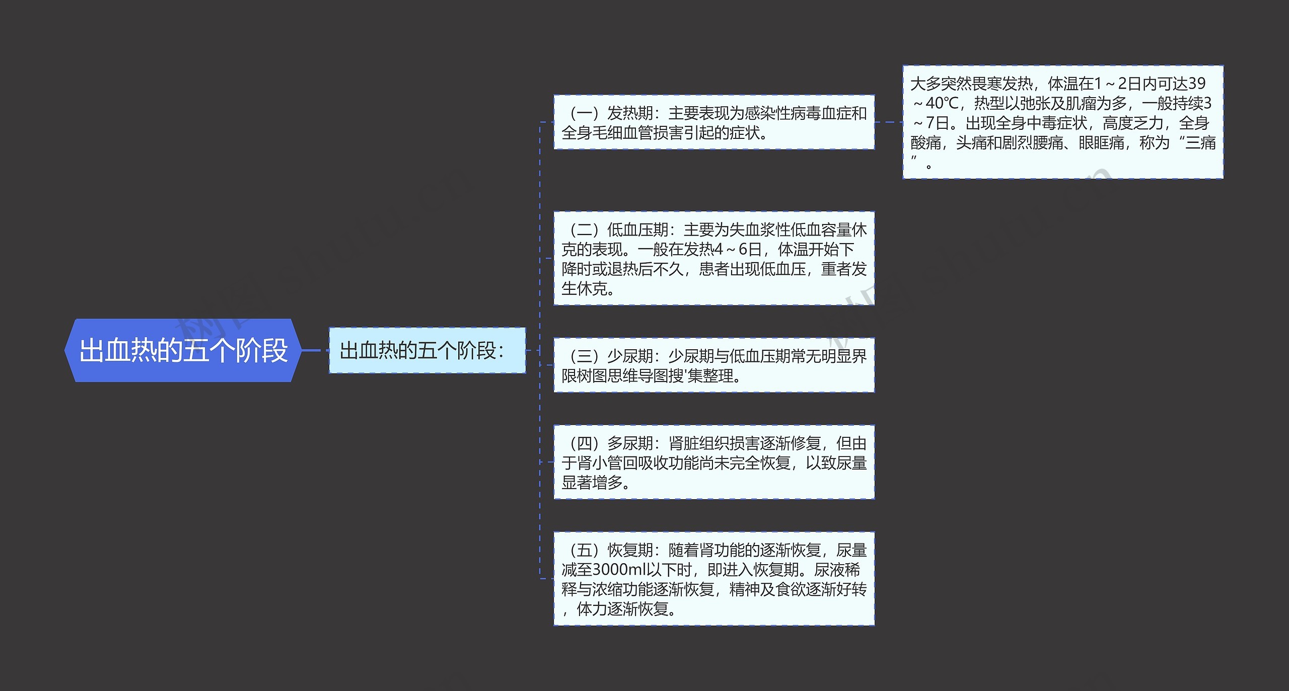 出血热的五个阶段思维导图