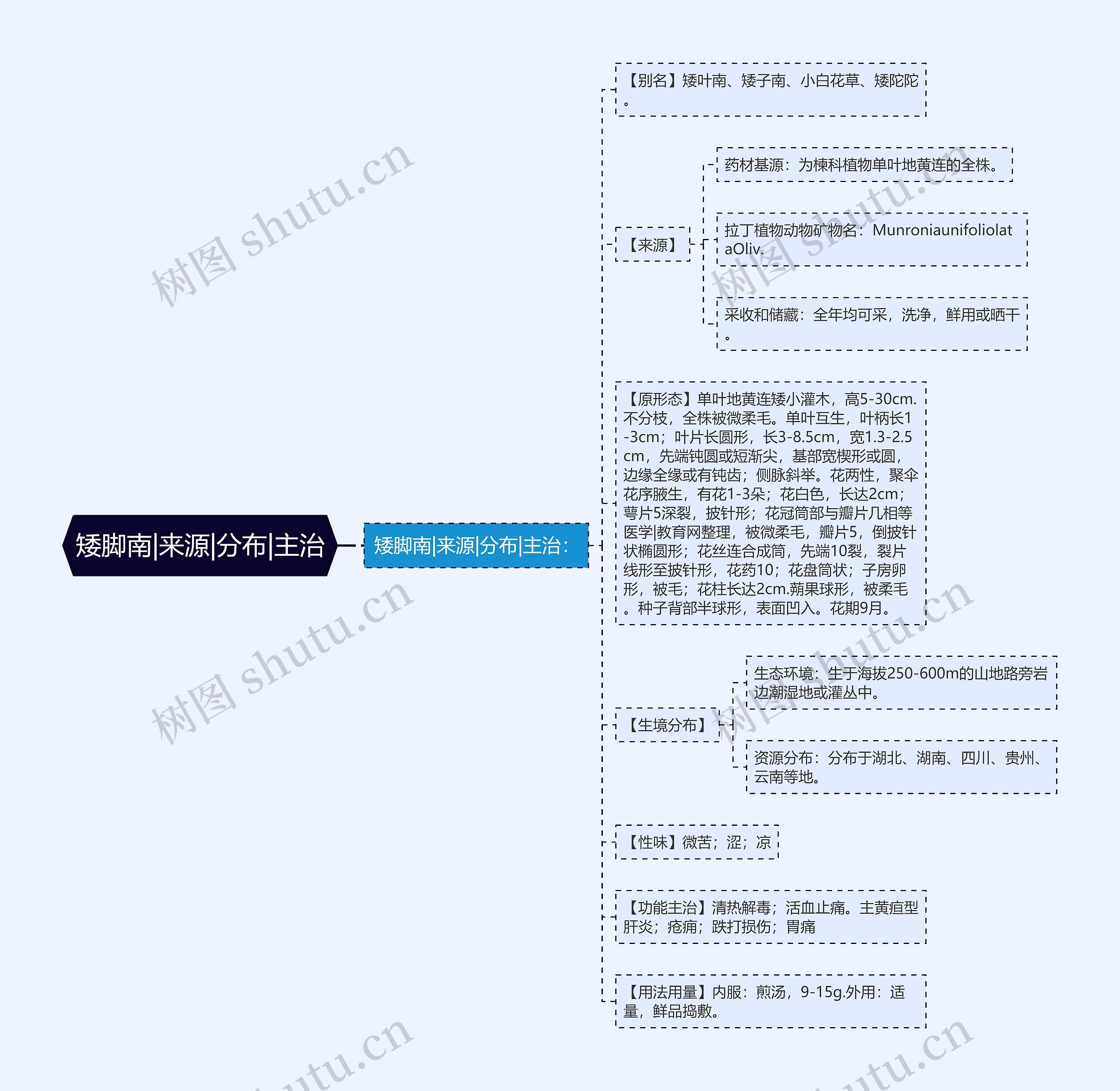 矮脚南|来源|分布|主治思维导图