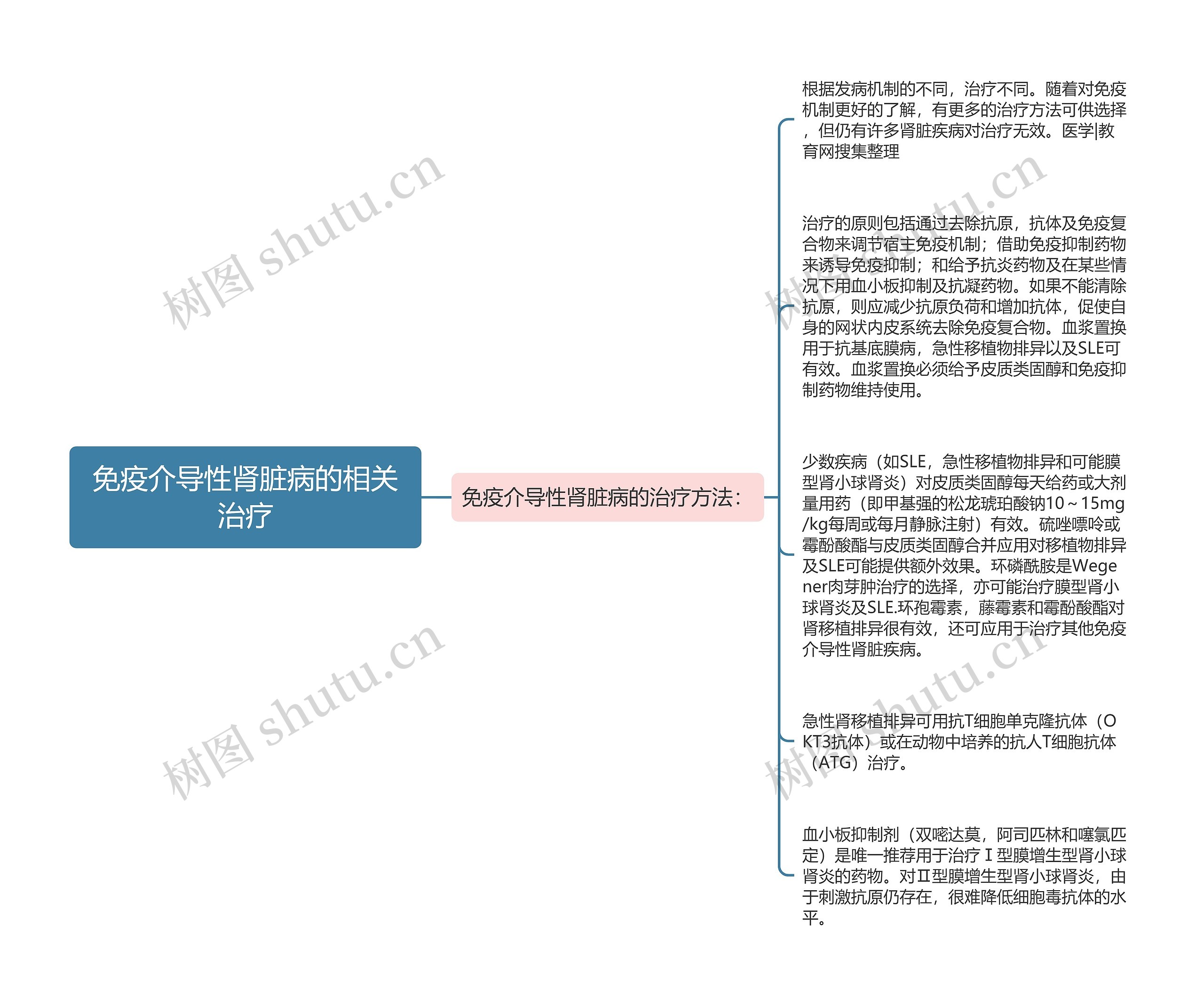 免疫介导性肾脏病的相关治疗