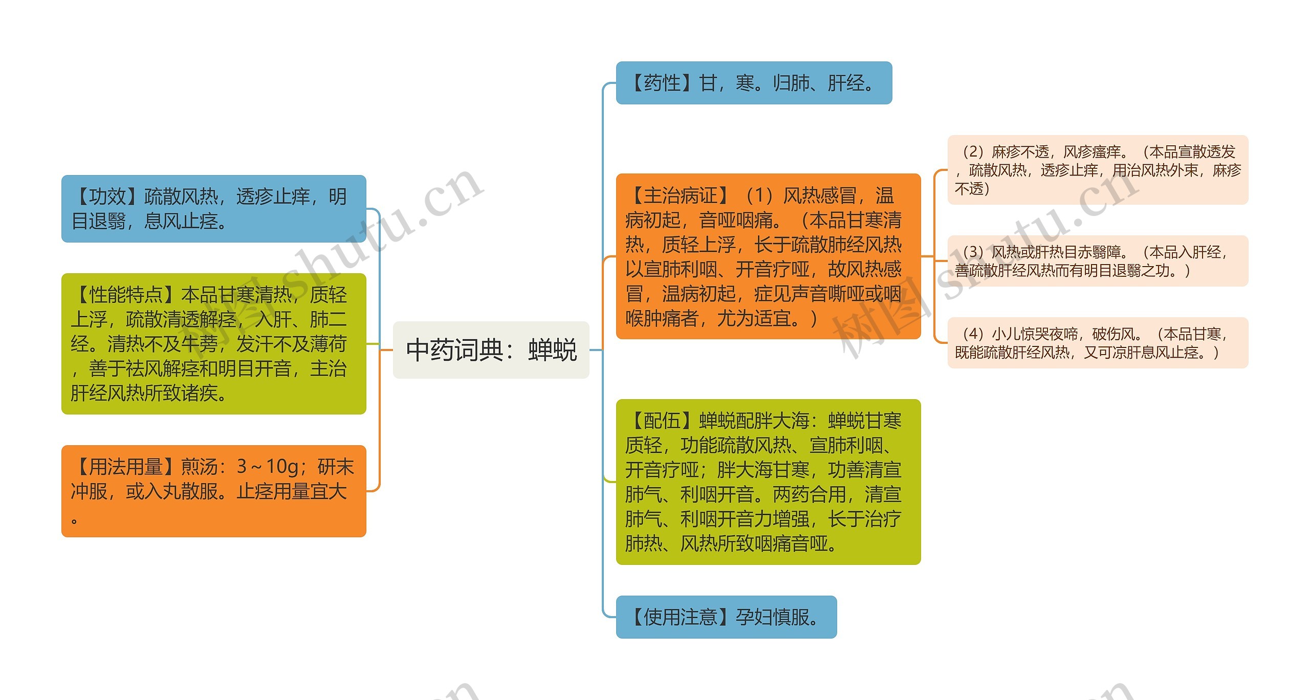 中药词典：蝉蜕