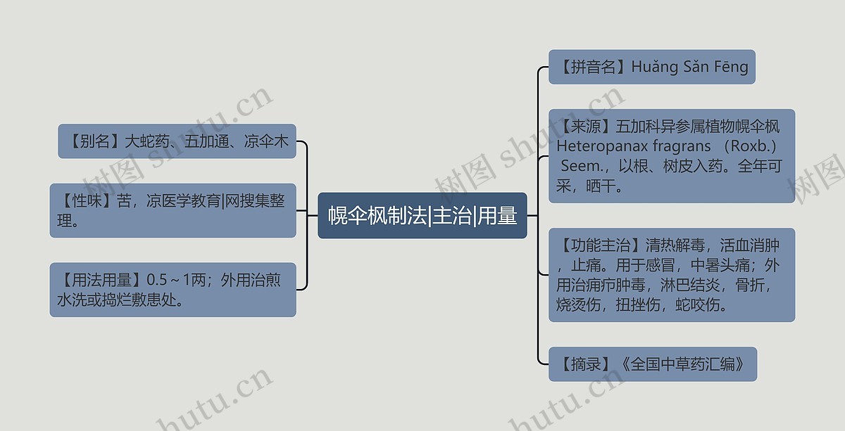 幌伞枫制法|主治|用量思维导图_编号p6804343-TreeMind树图
