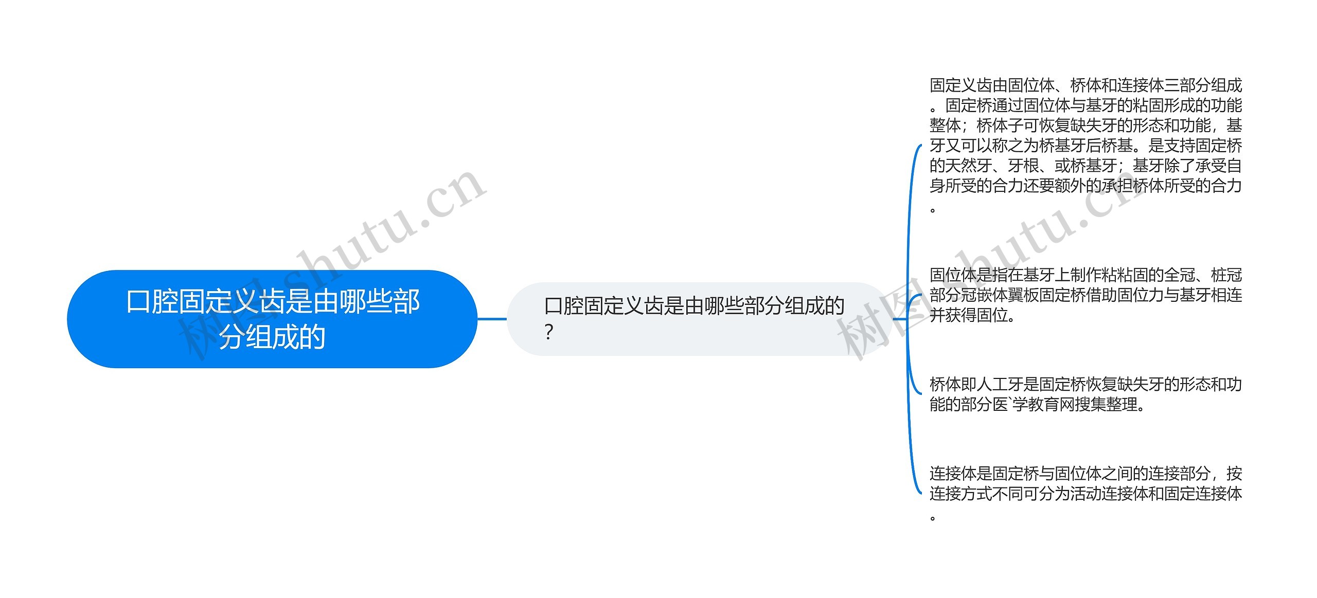 口腔固定义齿是由哪些部分组成的