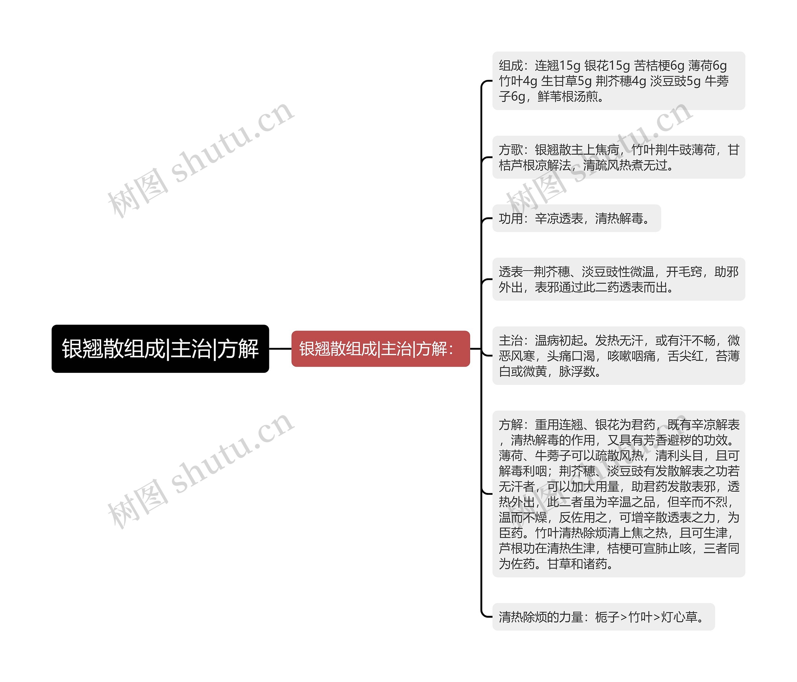 银翘散组成|主治|方解思维导图