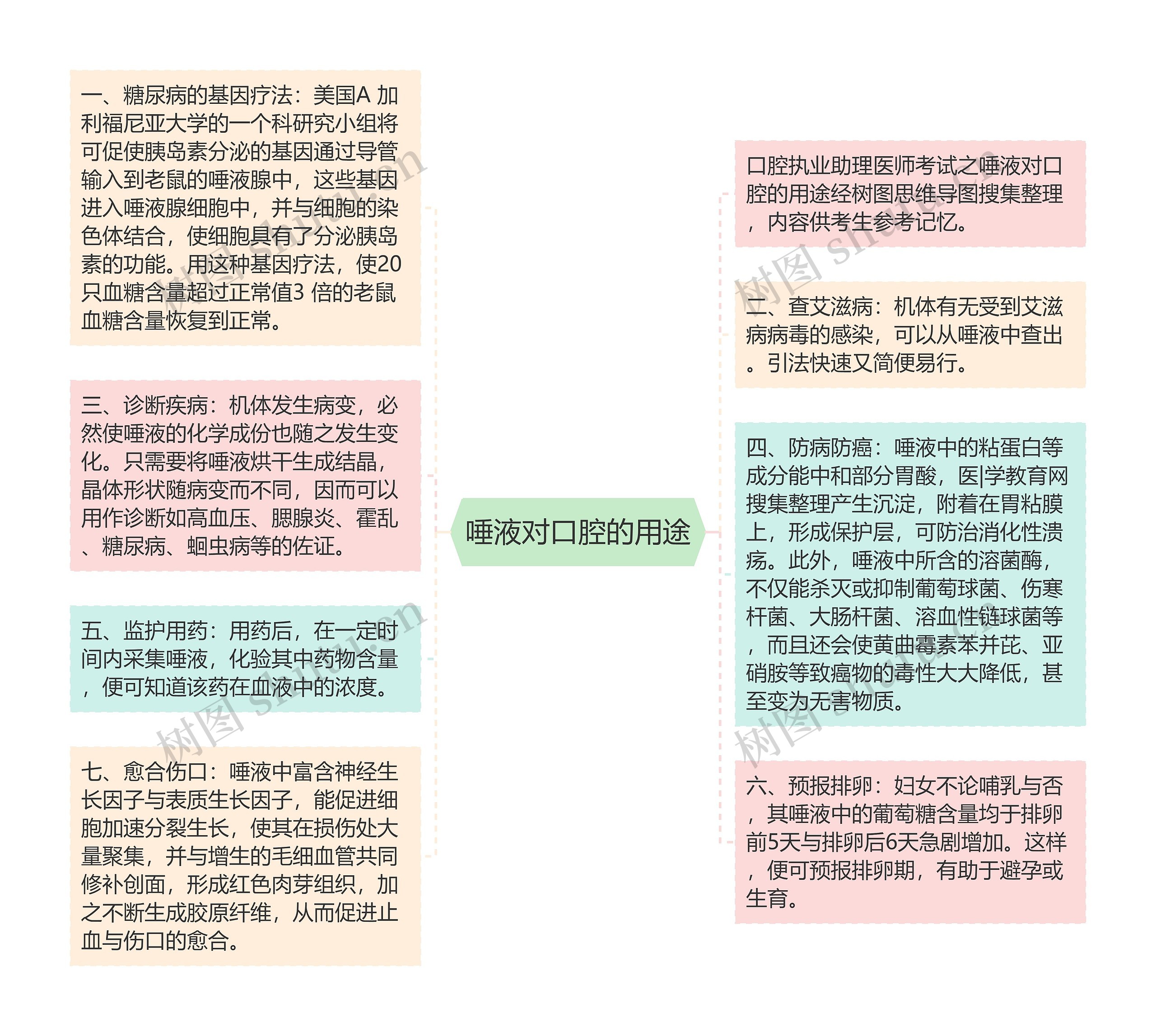 唾液对口腔的用途思维导图