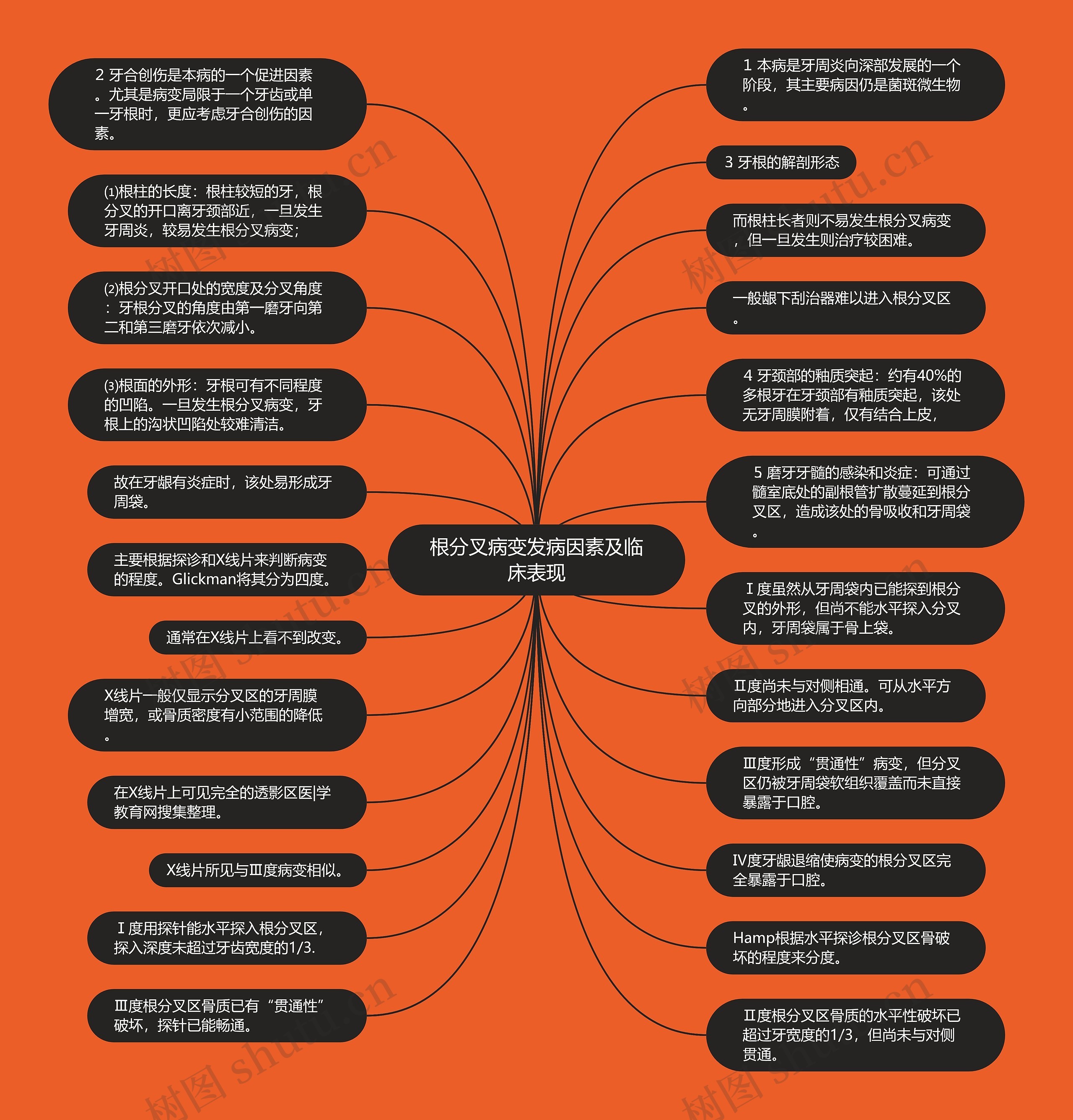 根分叉病变发病因素及临床表现