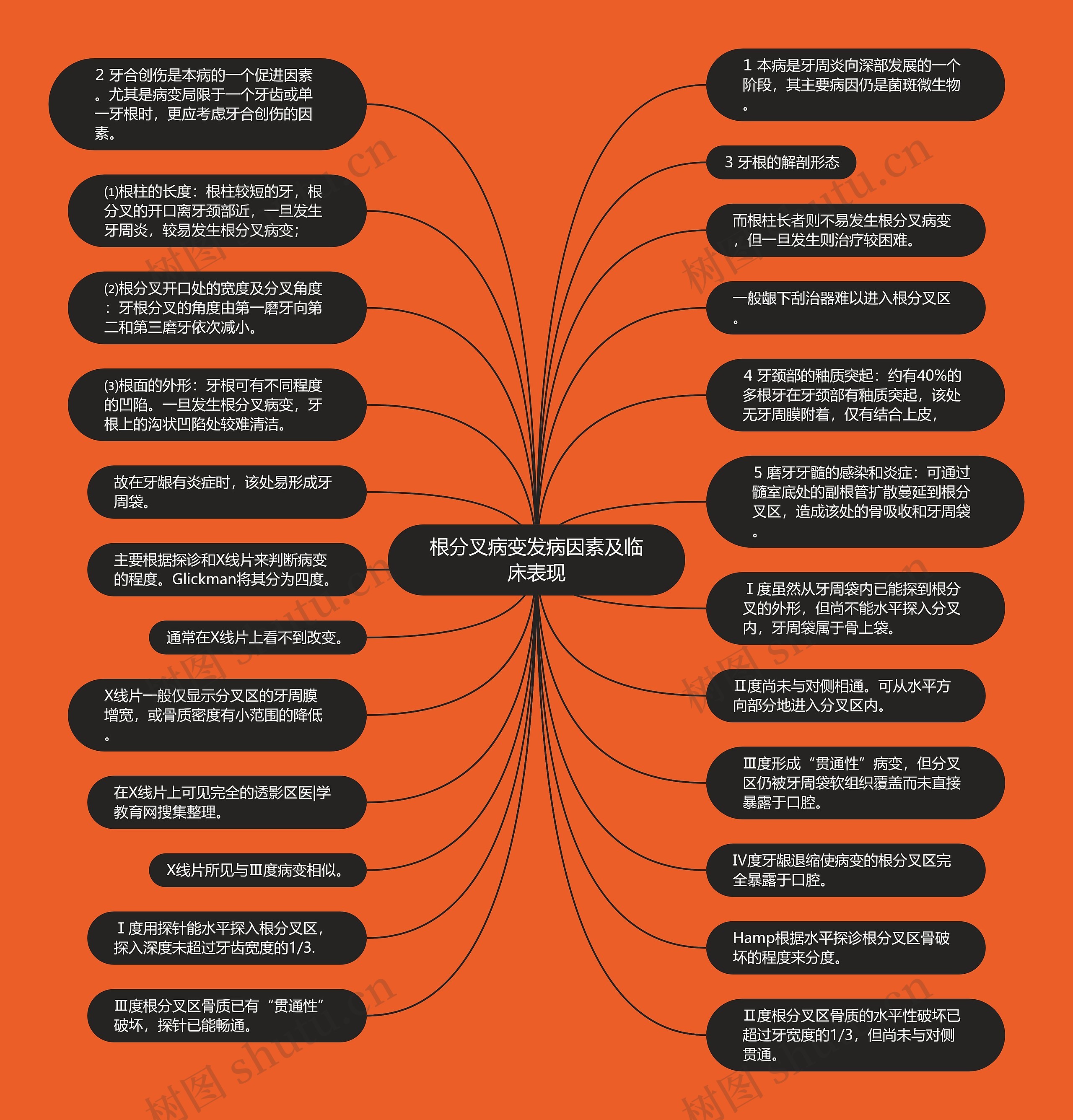 根分叉病变发病因素及临床表现思维导图