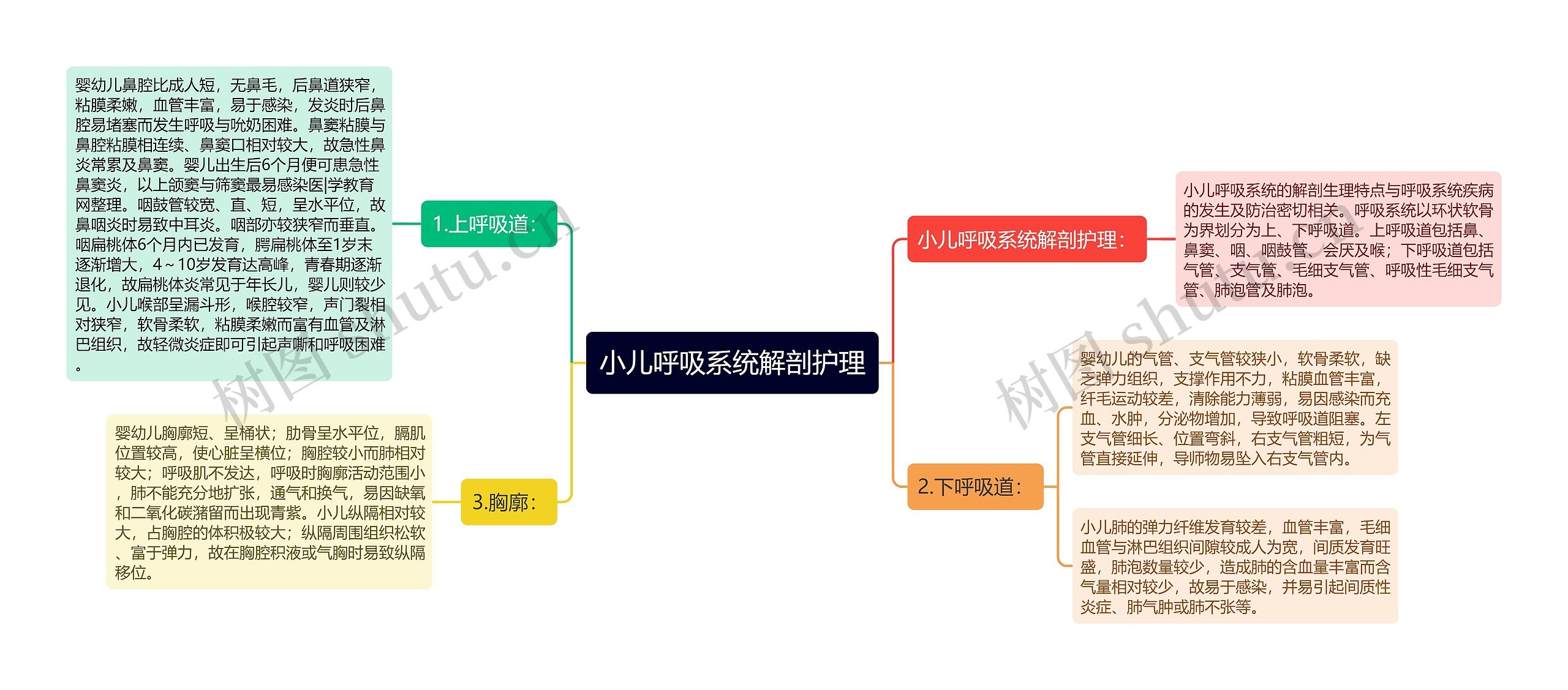 小儿呼吸系统解剖护理思维导图