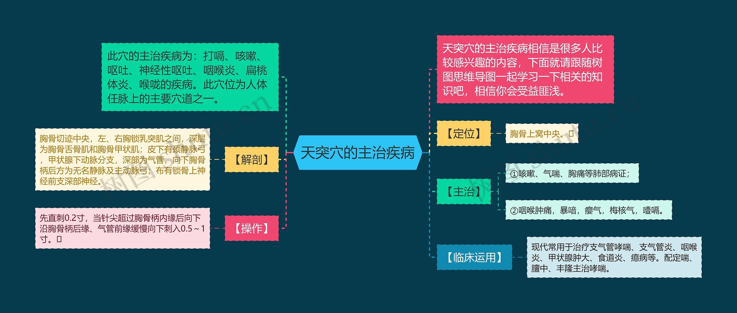 天突穴的主治疾病思维导图