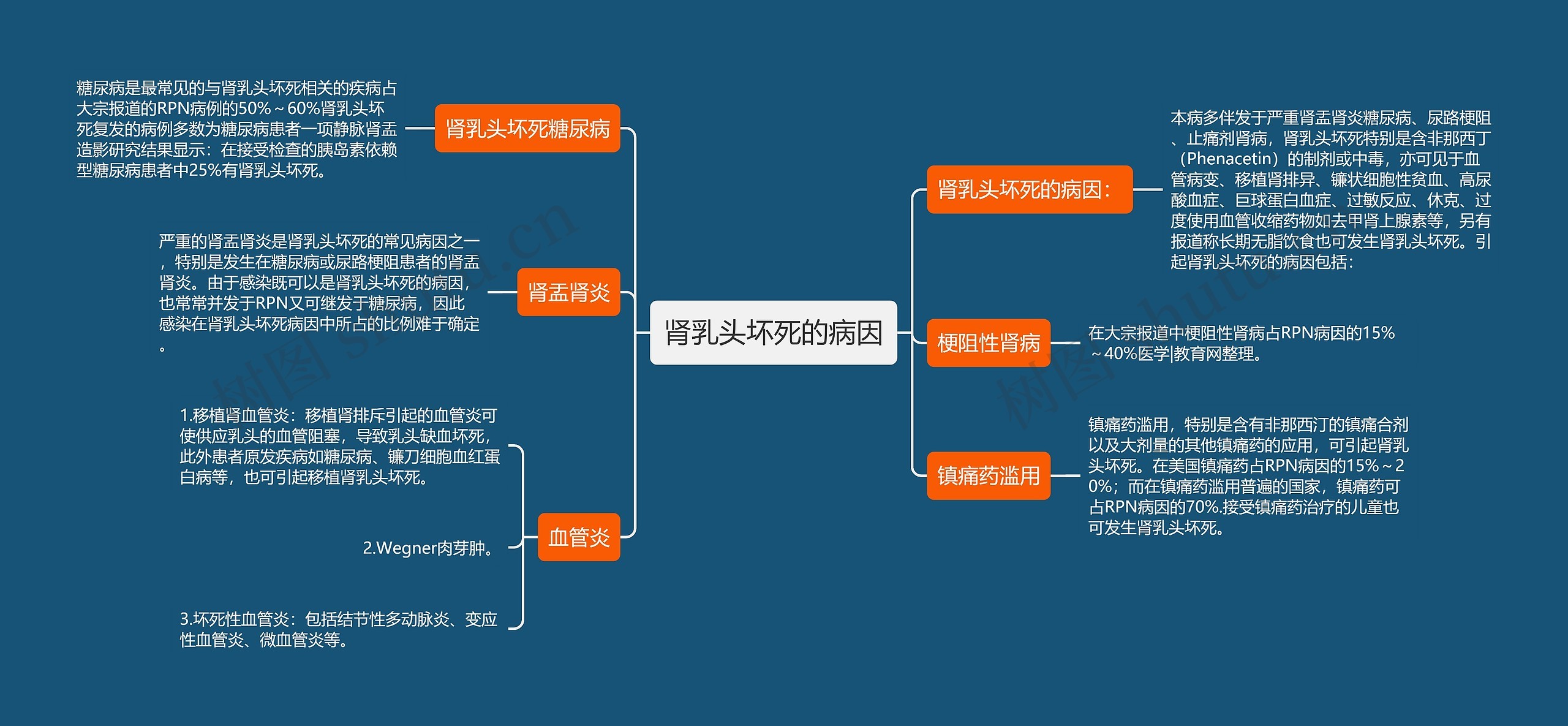 肾乳头坏死的病因思维导图