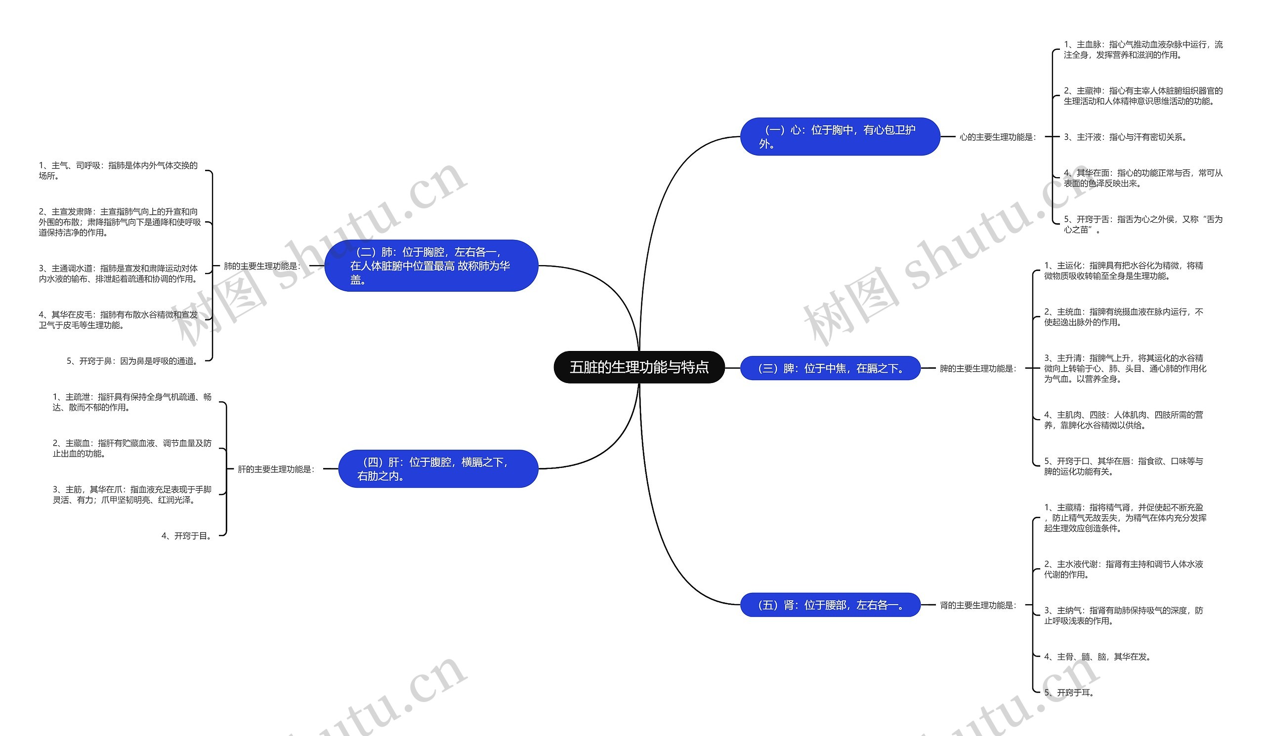 五脏的生理功能与特点 五脏的生理功能与特点