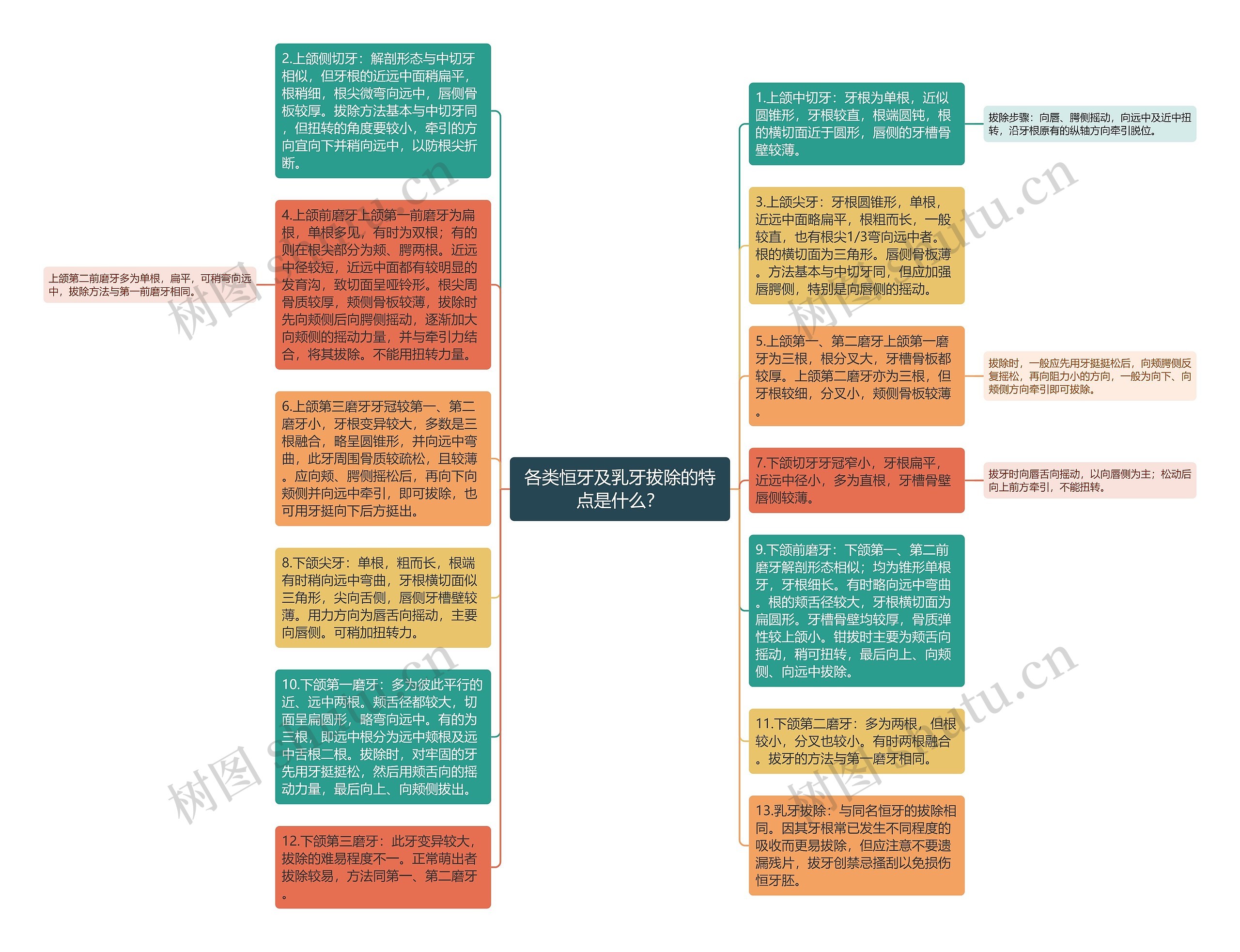 各类恒牙及乳牙拔除的特点是什么？