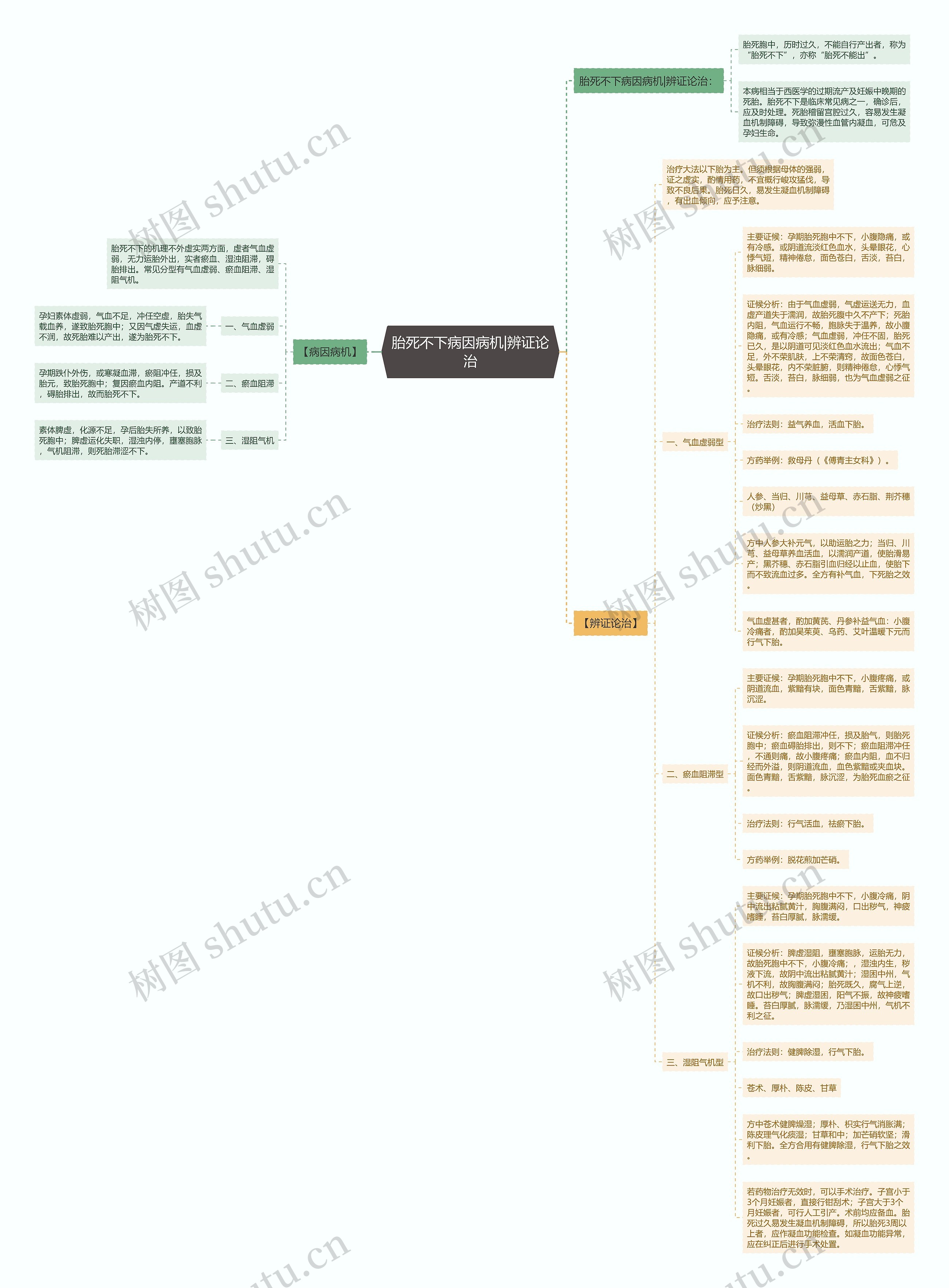 胎死不下病因病机|辨证论治思维导图