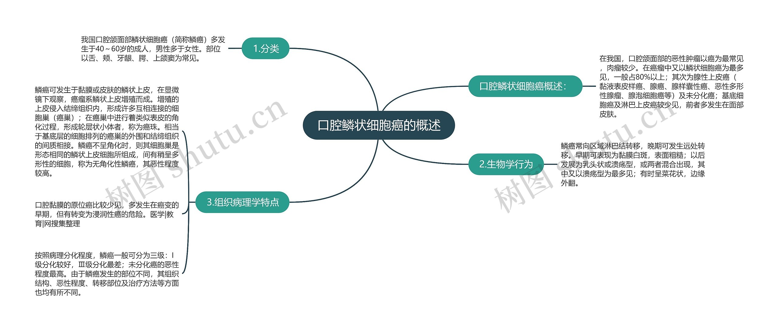 口腔鳞状细胞癌的概述思维导图