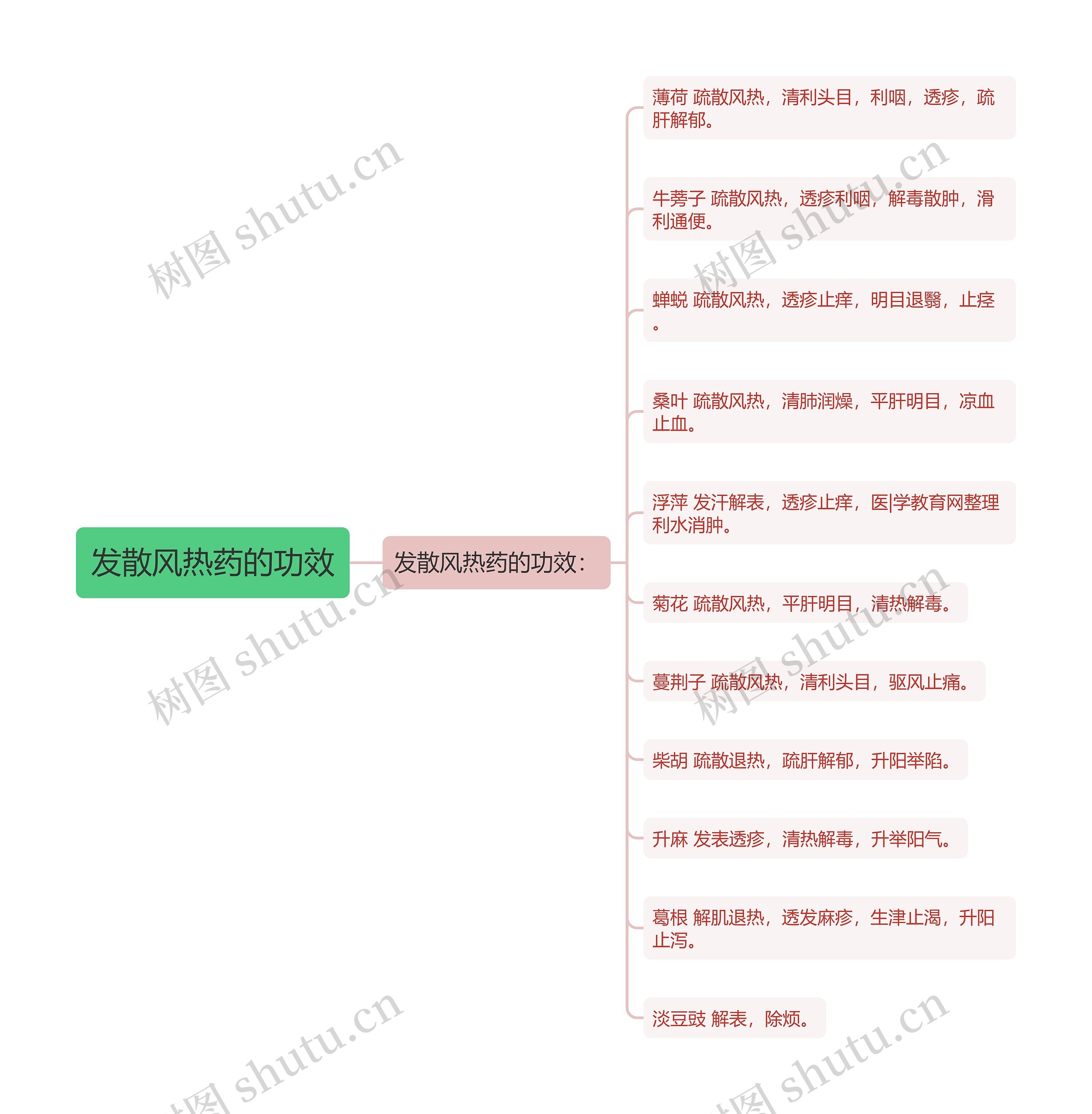 发散风热药的功效思维导图