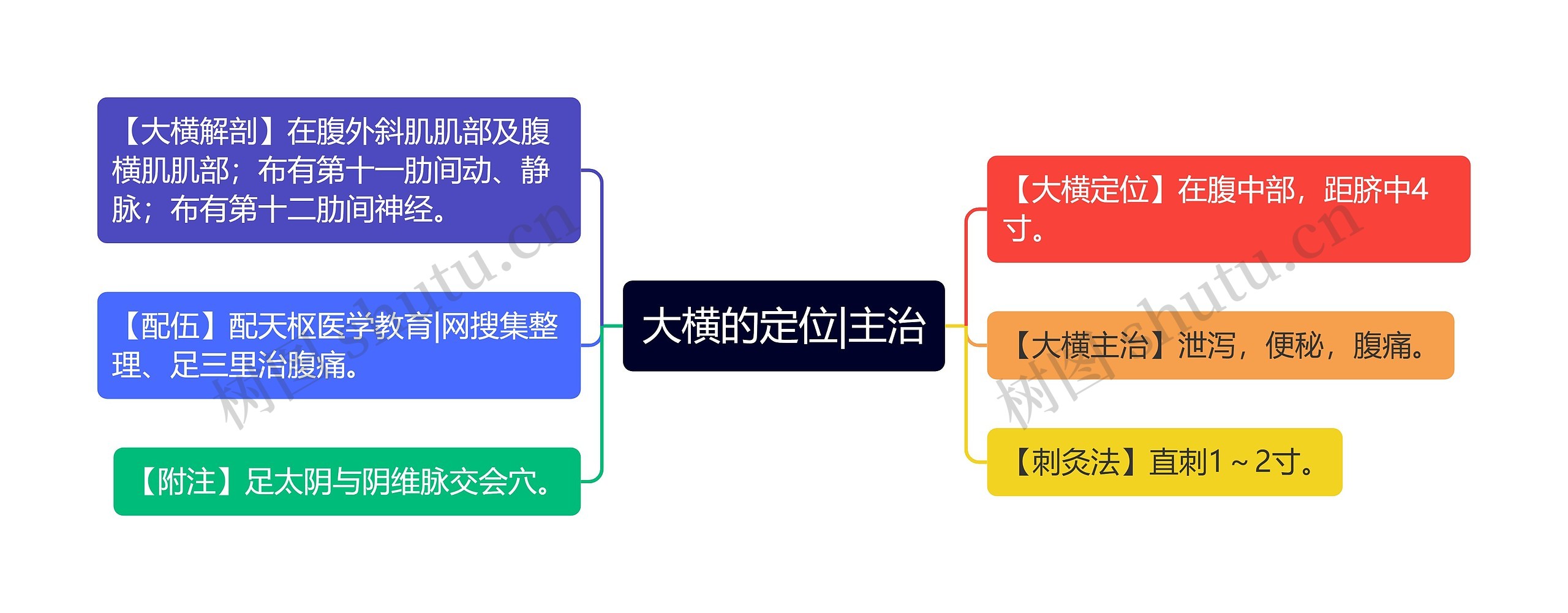 大横的定位|主治思维导图