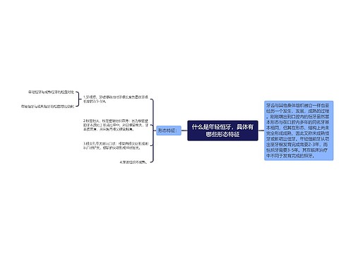 什么是年轻恒牙，具体有哪些形态特征