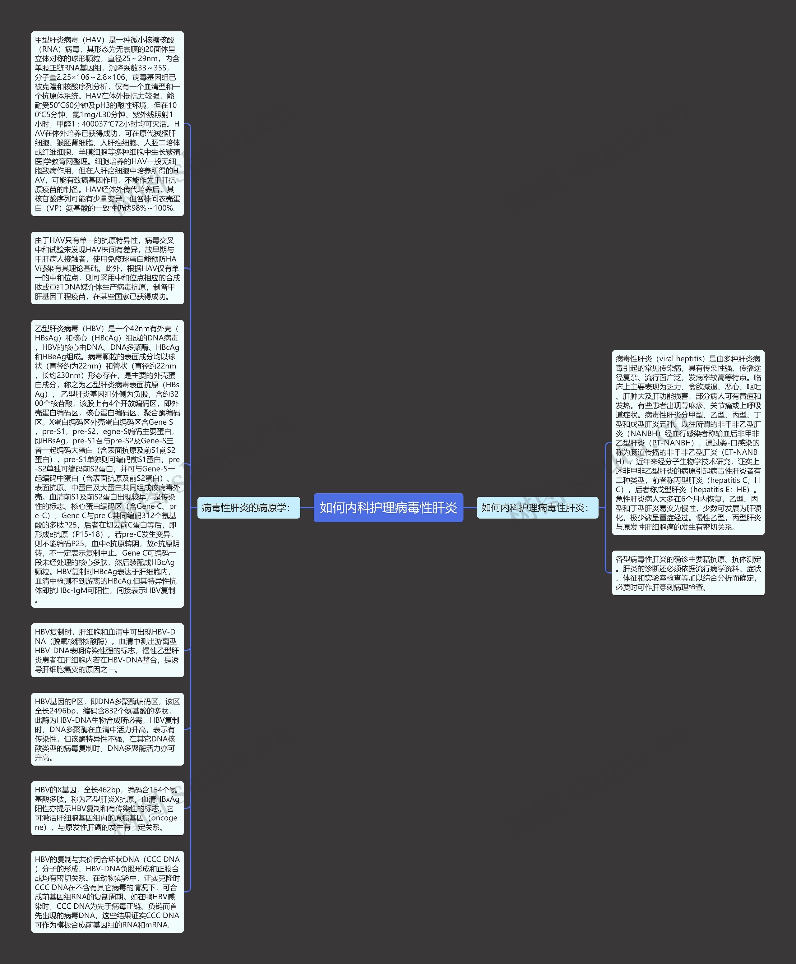 如何内科护理病毒性肝炎思维导图