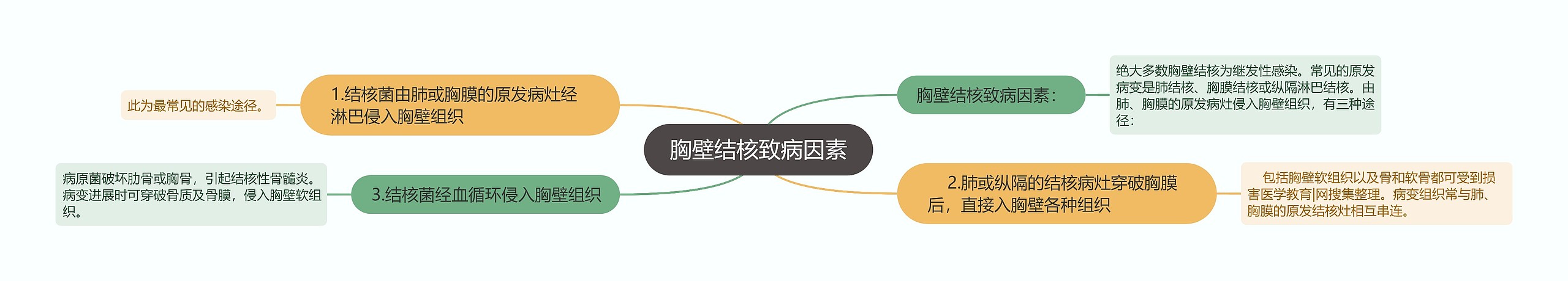 胸壁结核致病因素思维导图