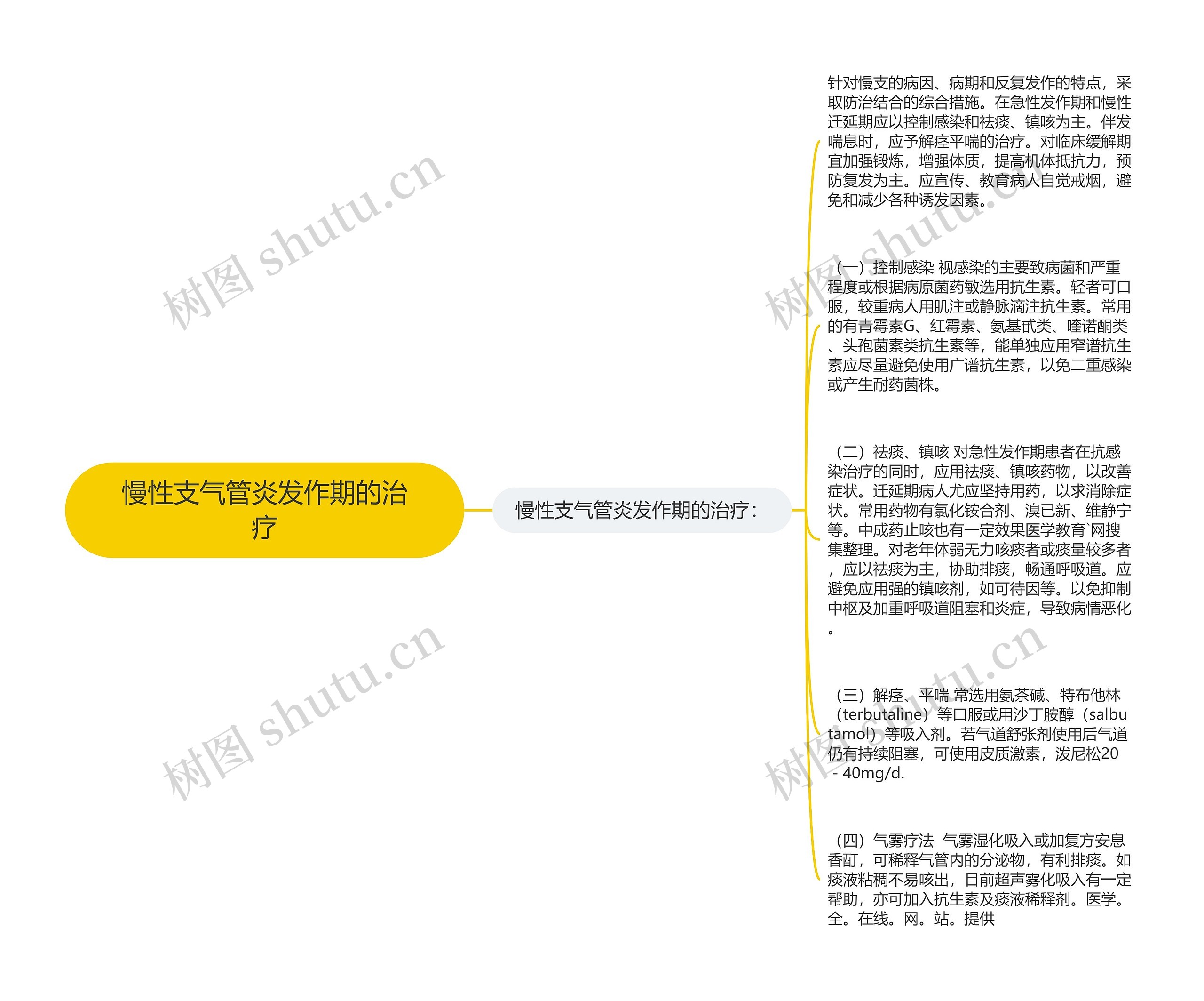 慢性支气管炎发作期的治疗思维导图