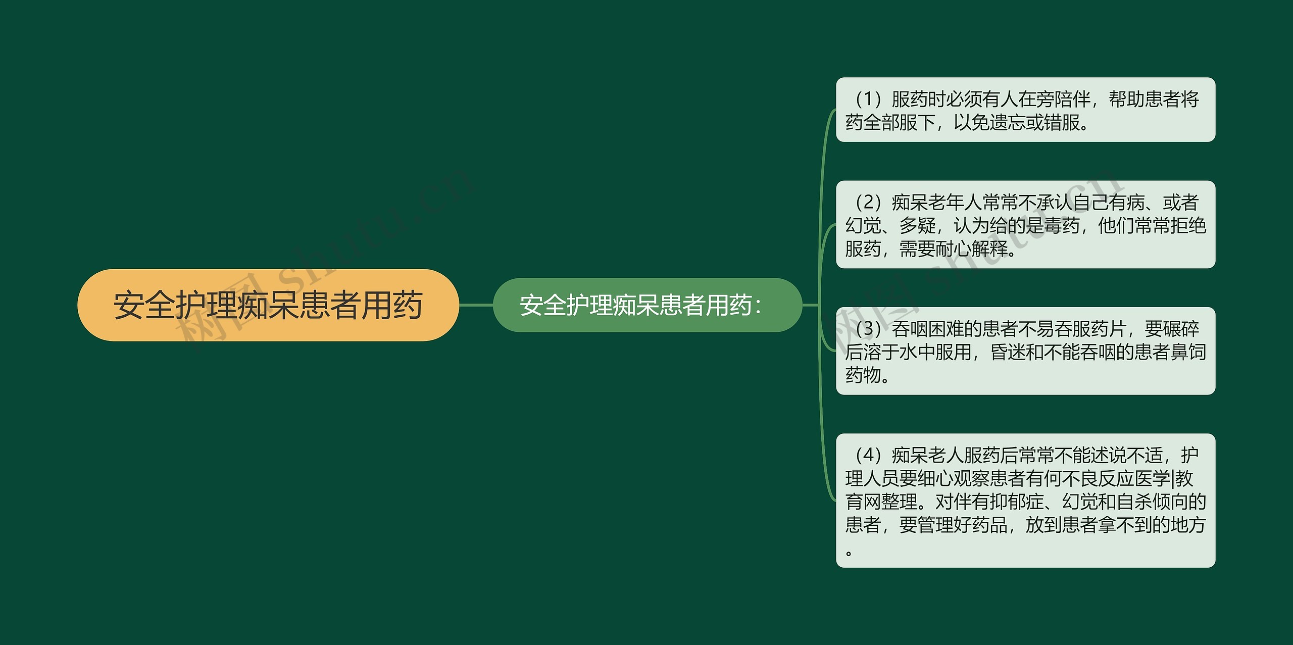 安全护理痴呆患者用药思维导图