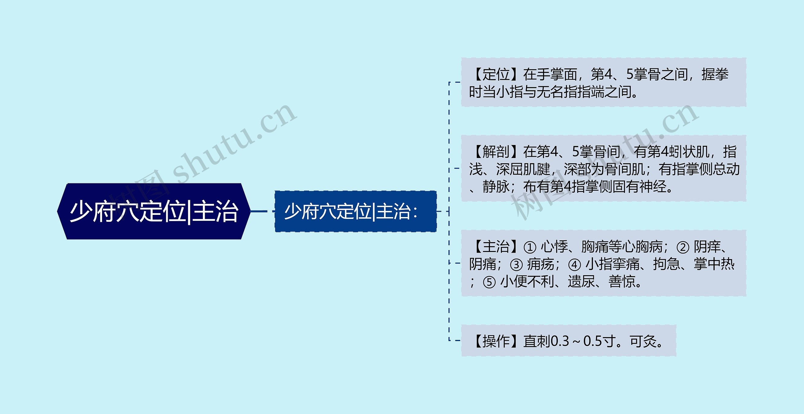 少府穴定位|主治思维导图