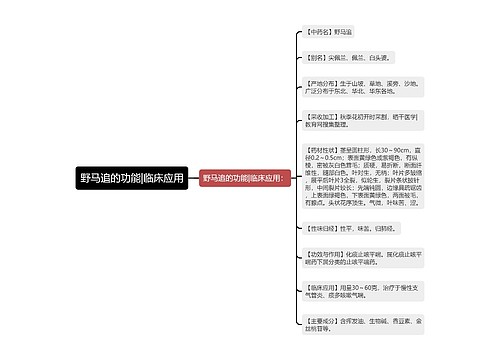 野马追的功能|临床应用