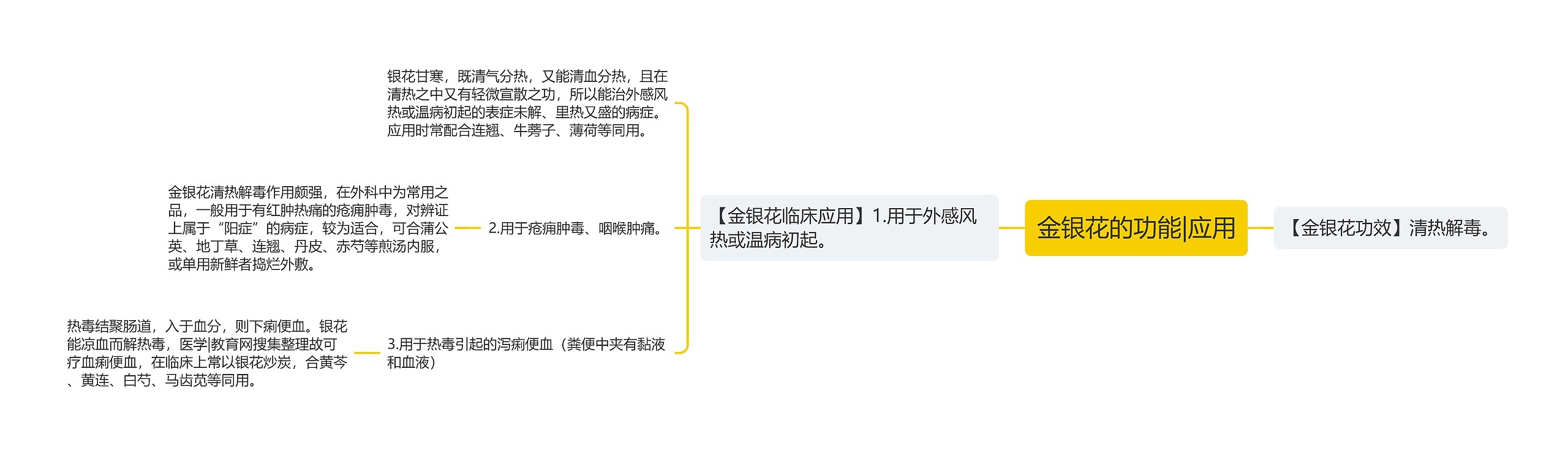 金银花的功能|应用思维导图