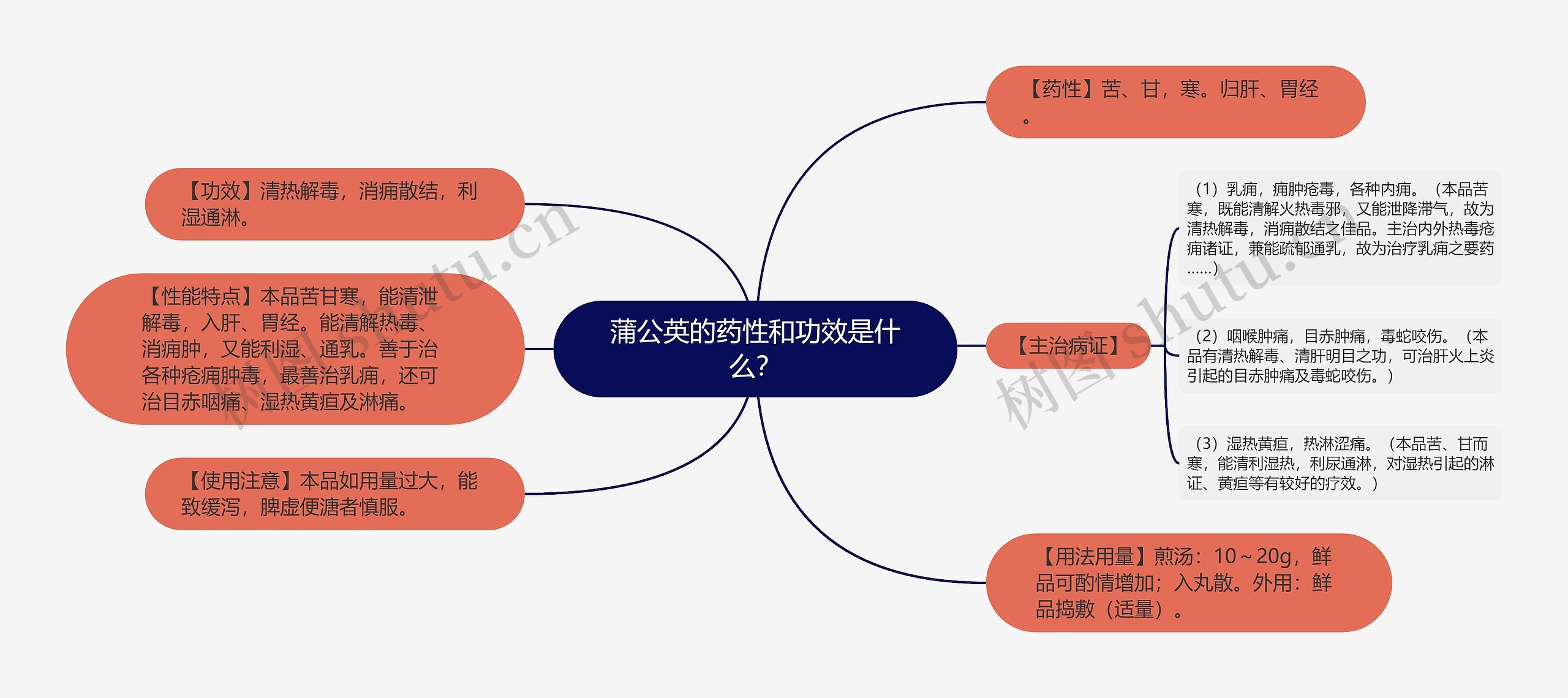 蒲公英的药性和功效是什么？思维导图