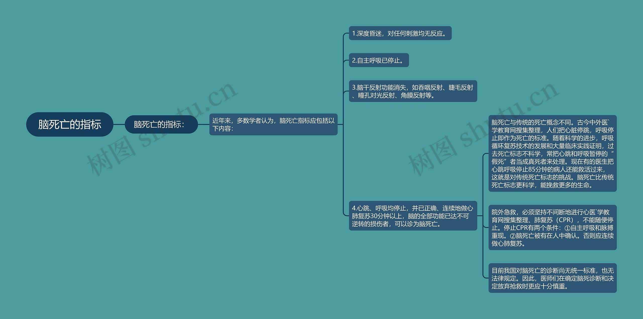 脑死亡的指标 脑死亡的指标