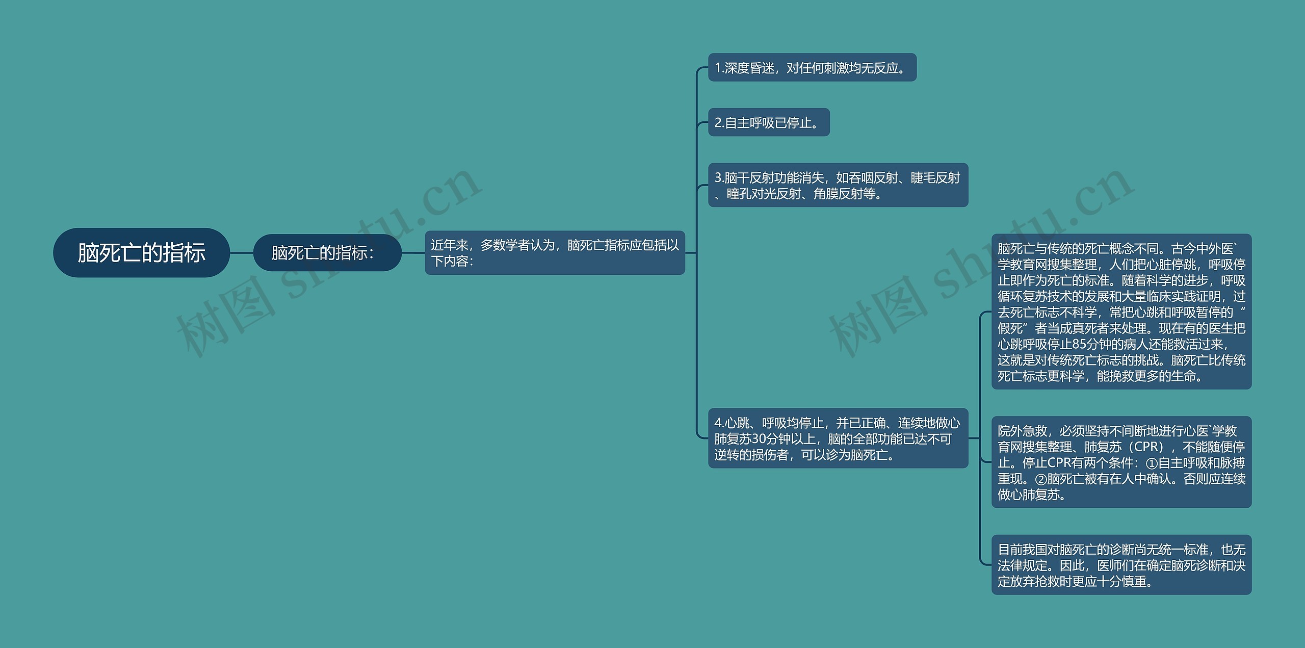 脑死亡的指标