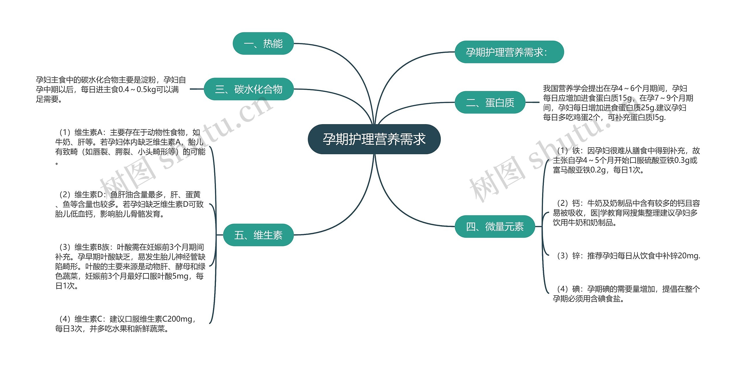 孕期护理营养需求