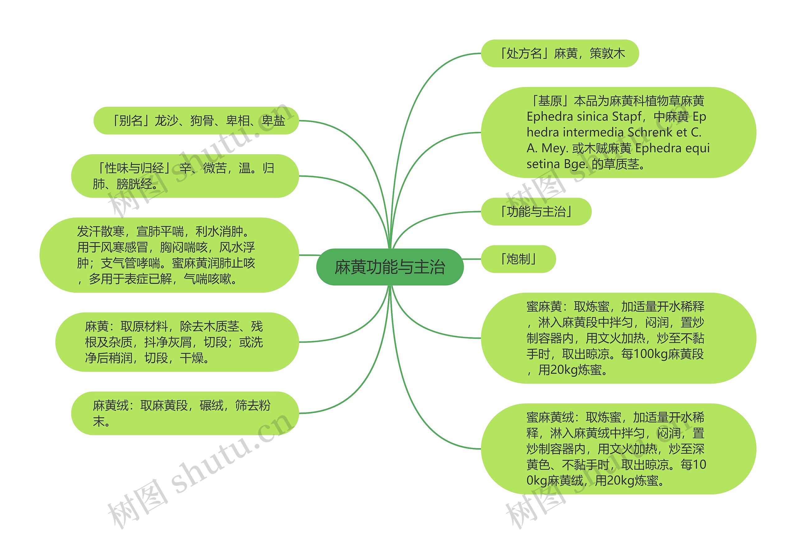 麻黄功能与主治思维导图