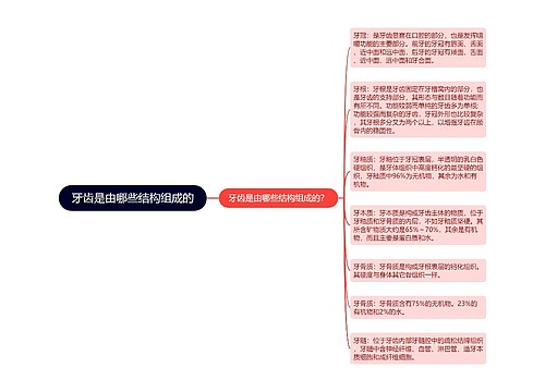 牙齿是由哪些结构组成的