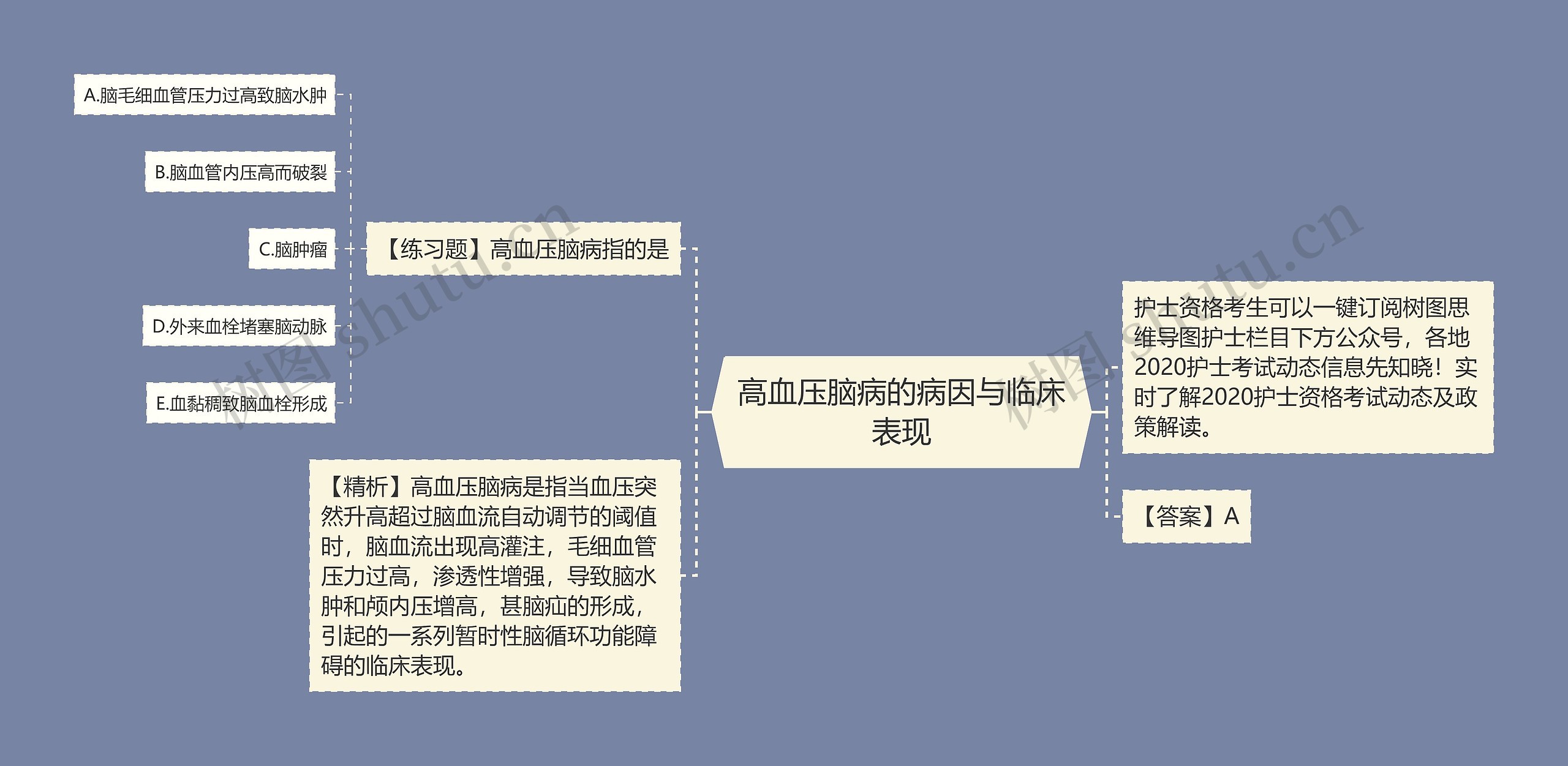 高血压脑病的病因与临床表现