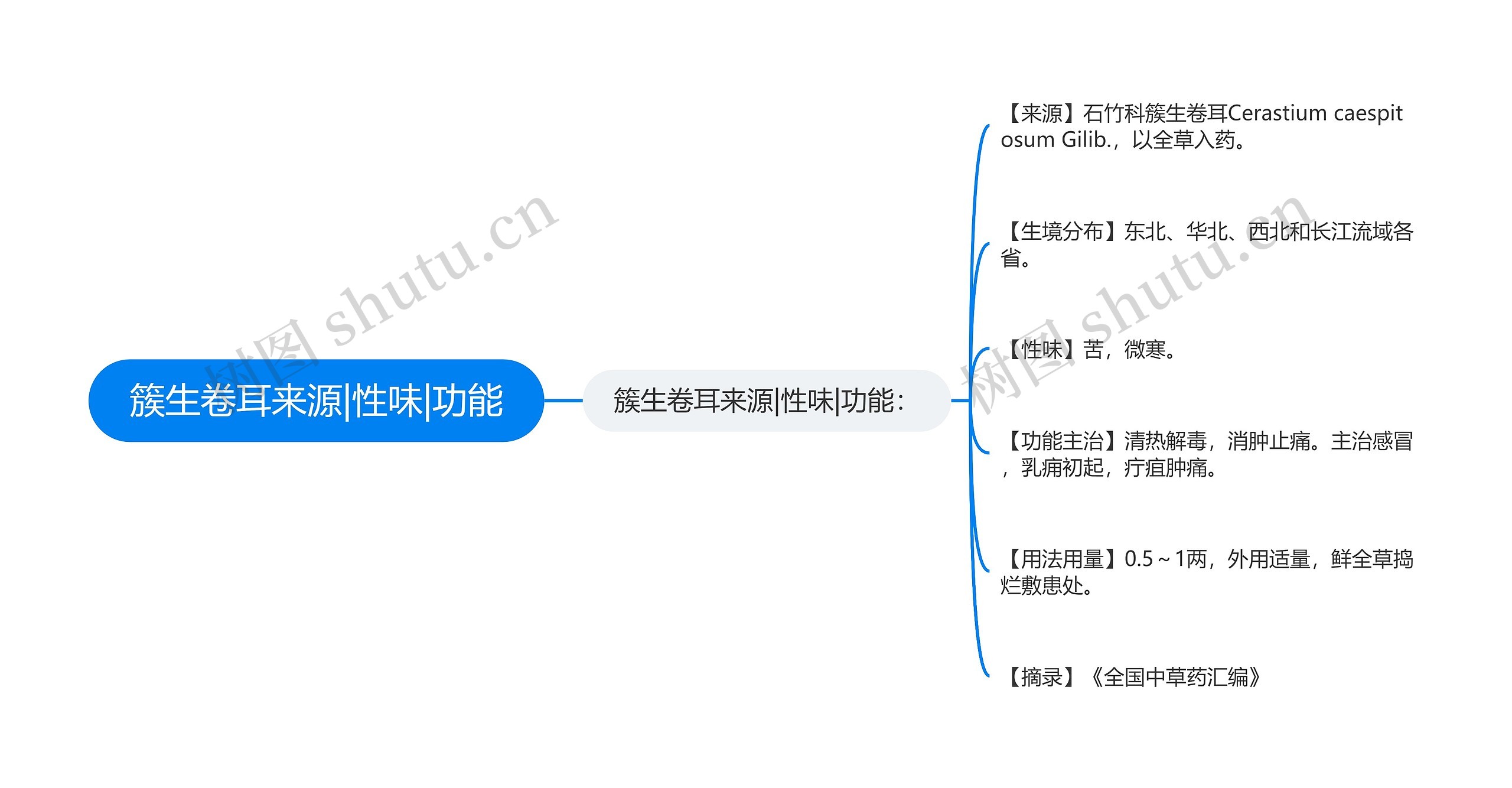 簇生卷耳来源|性味|功能思维导图