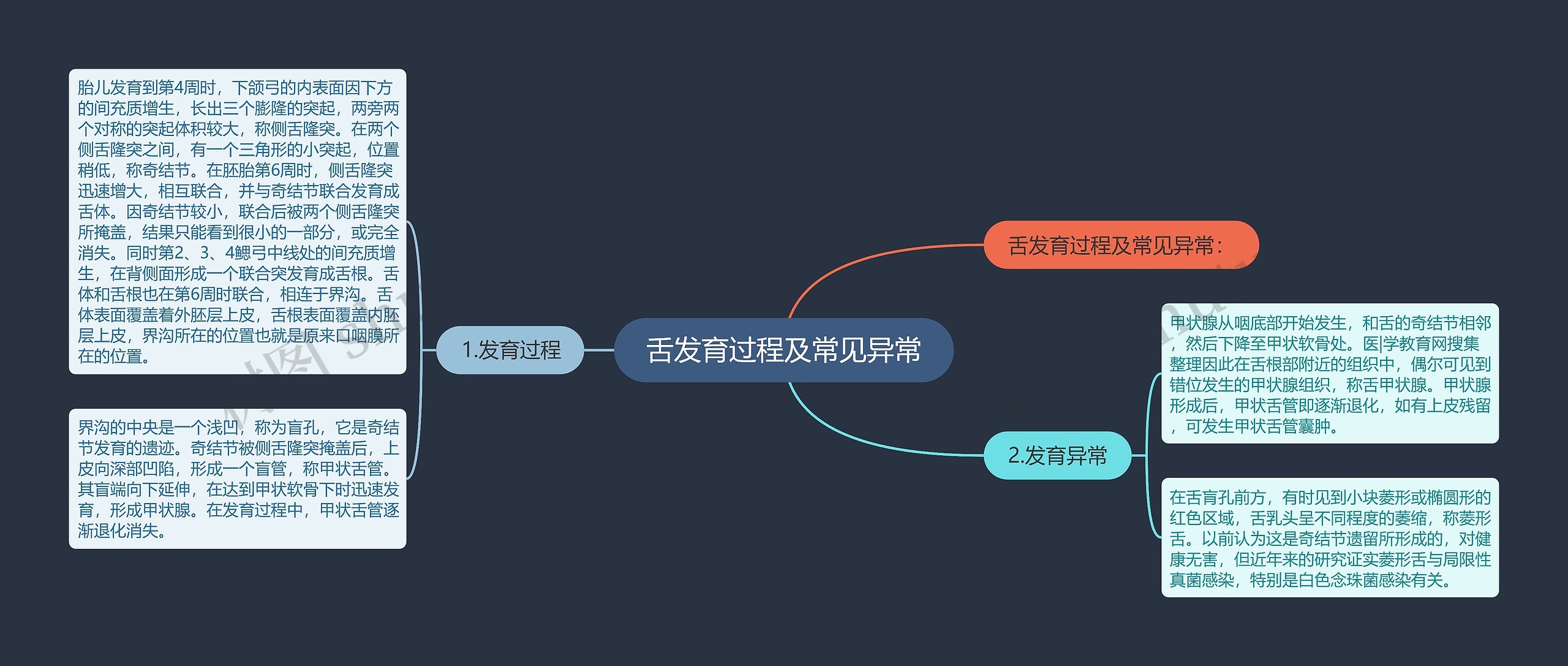 舌发育过程及常见异常 舌发育过程及常见异常