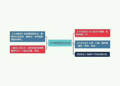 少冲的定位|主治