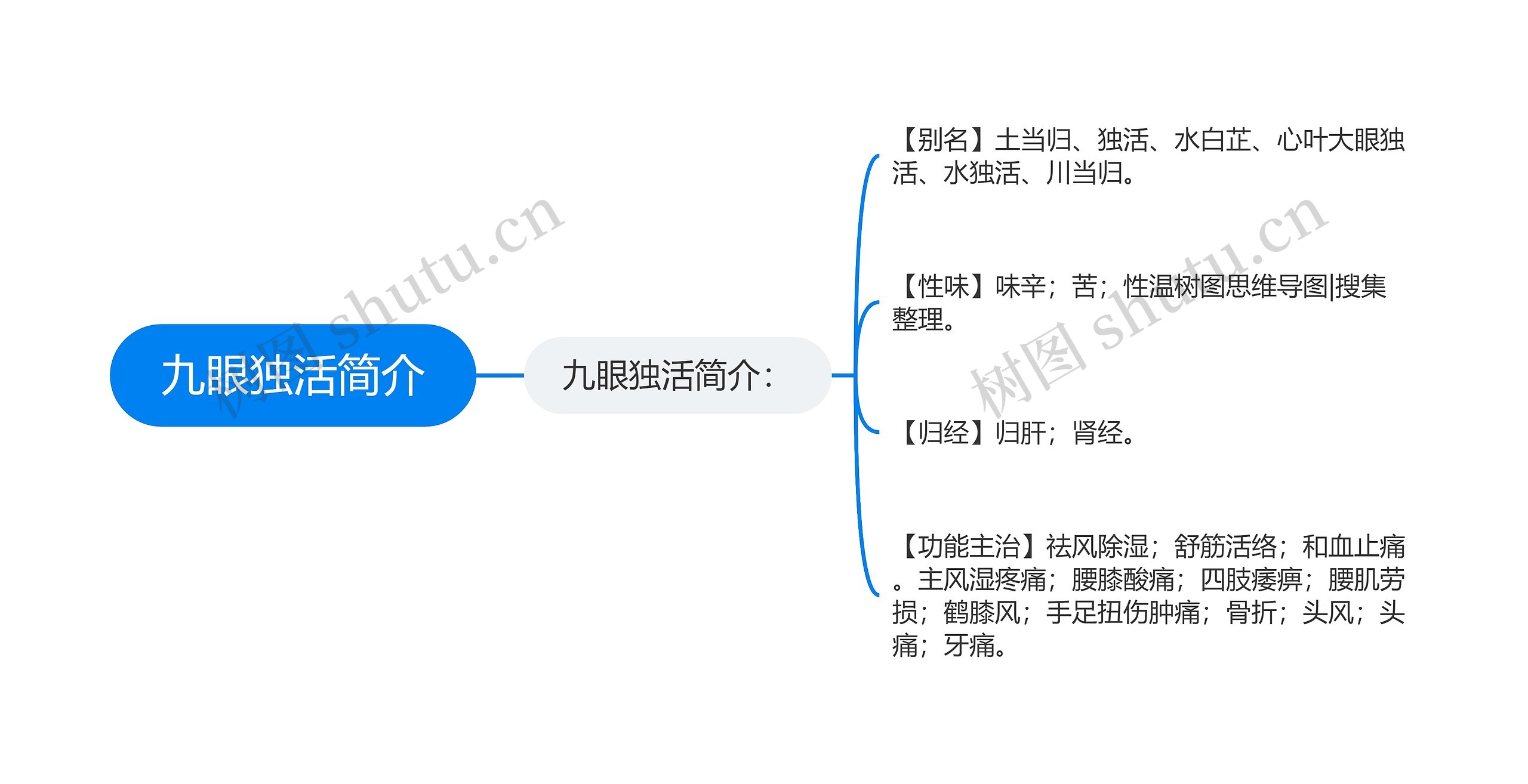 九眼独活简介思维导图